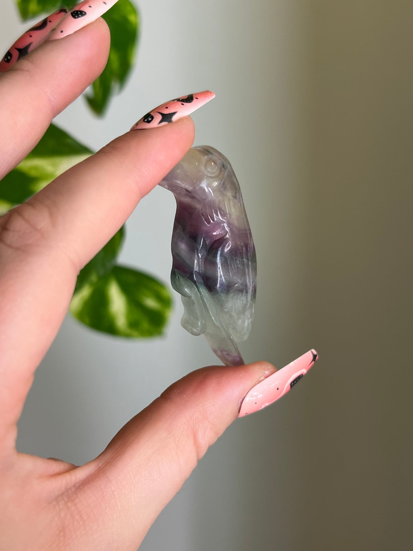 Rainbow Fluorite Bird