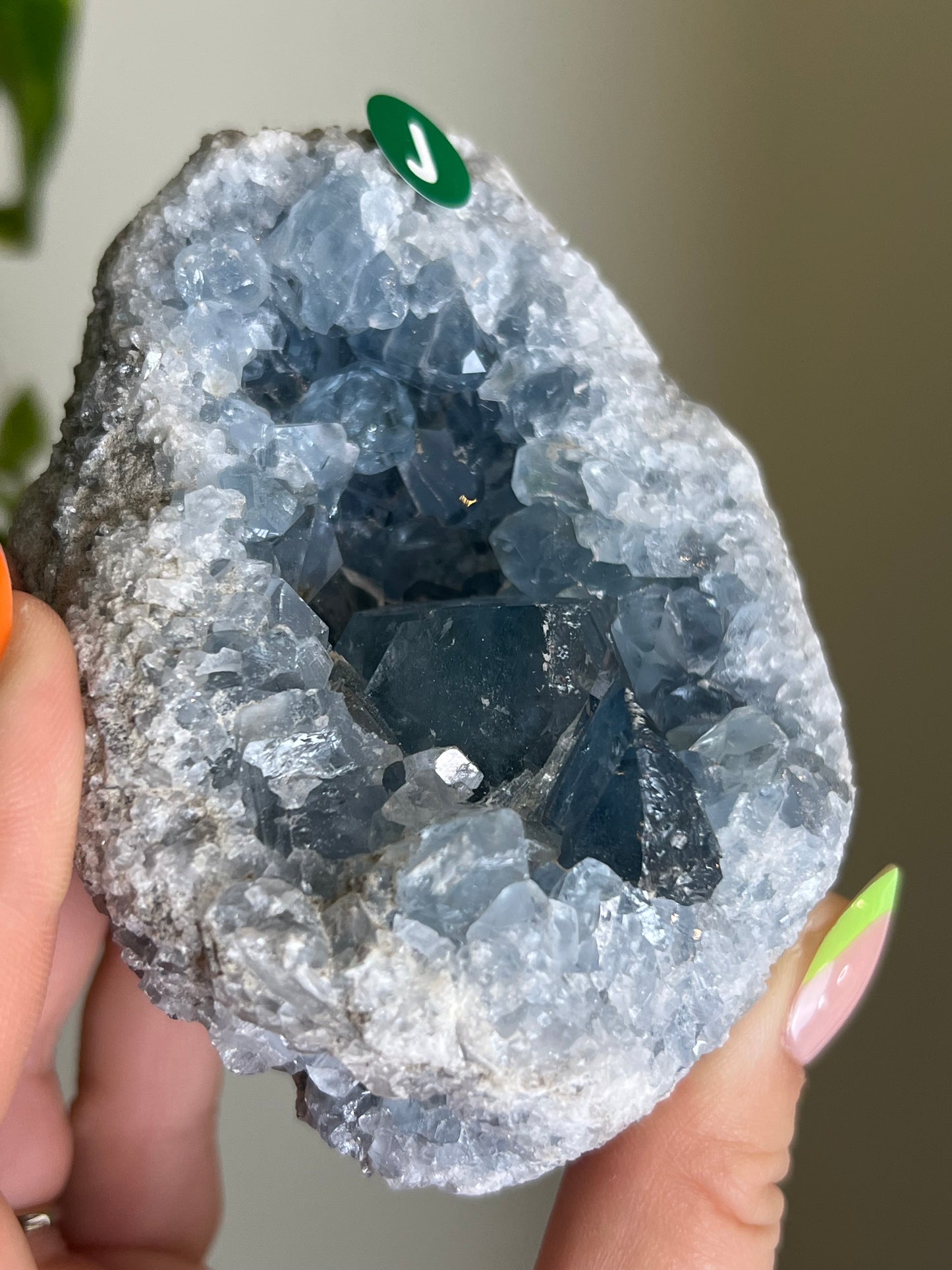 Celestite Cluster - J 🌊