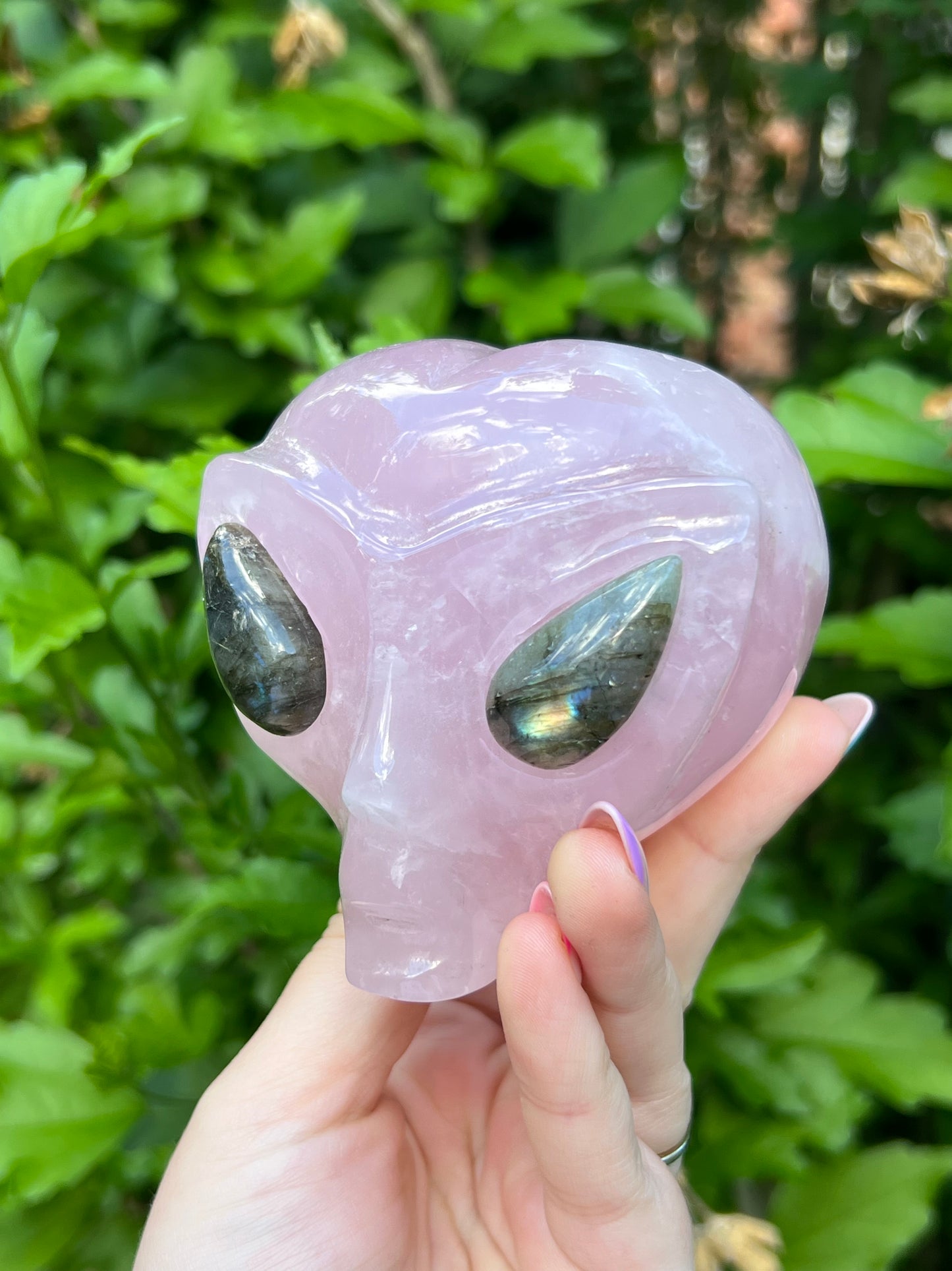 Rose Quartz Alien with Flashy Labradorite Eyes