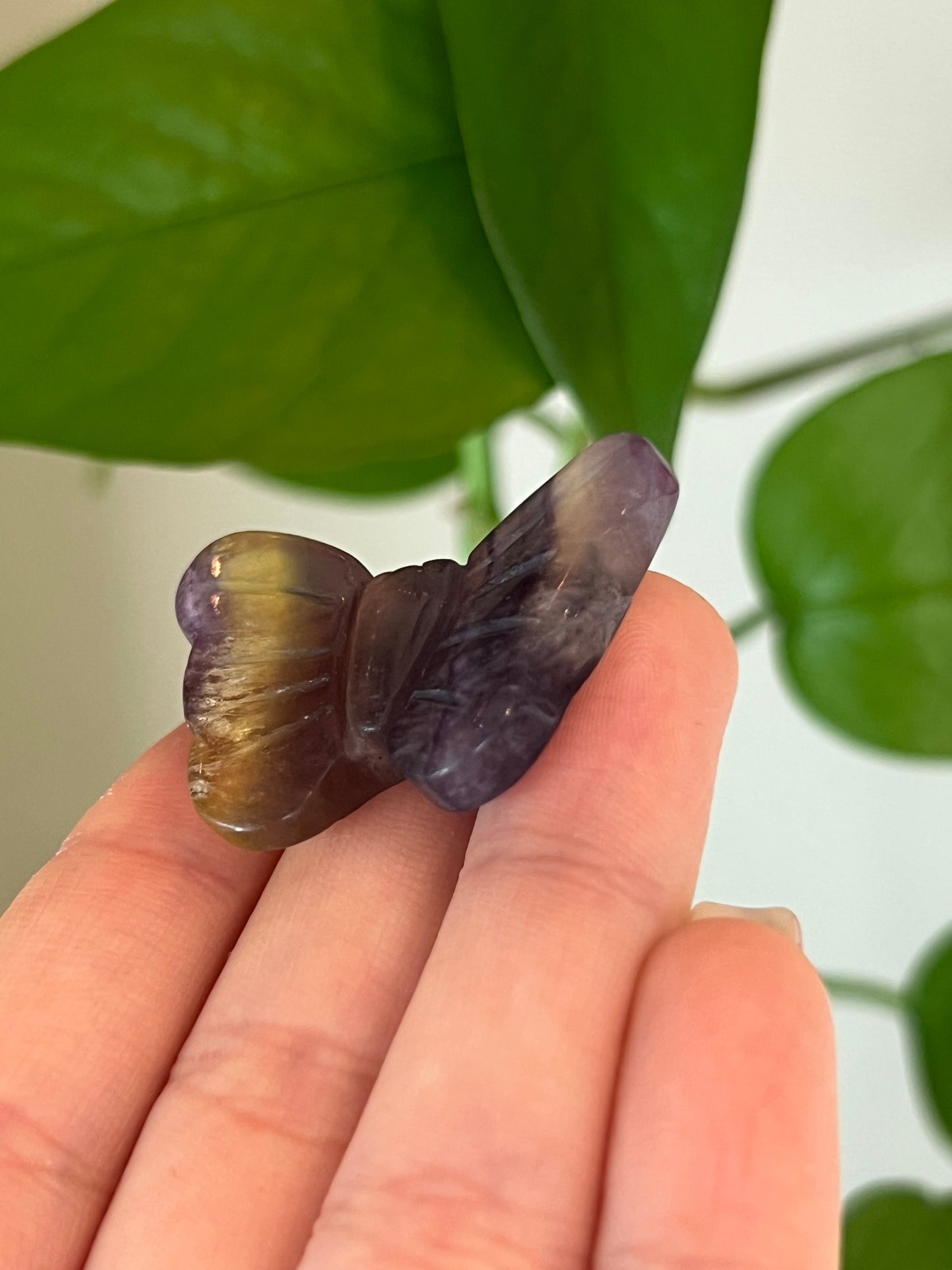 Rainbow Fluorite Butterfly