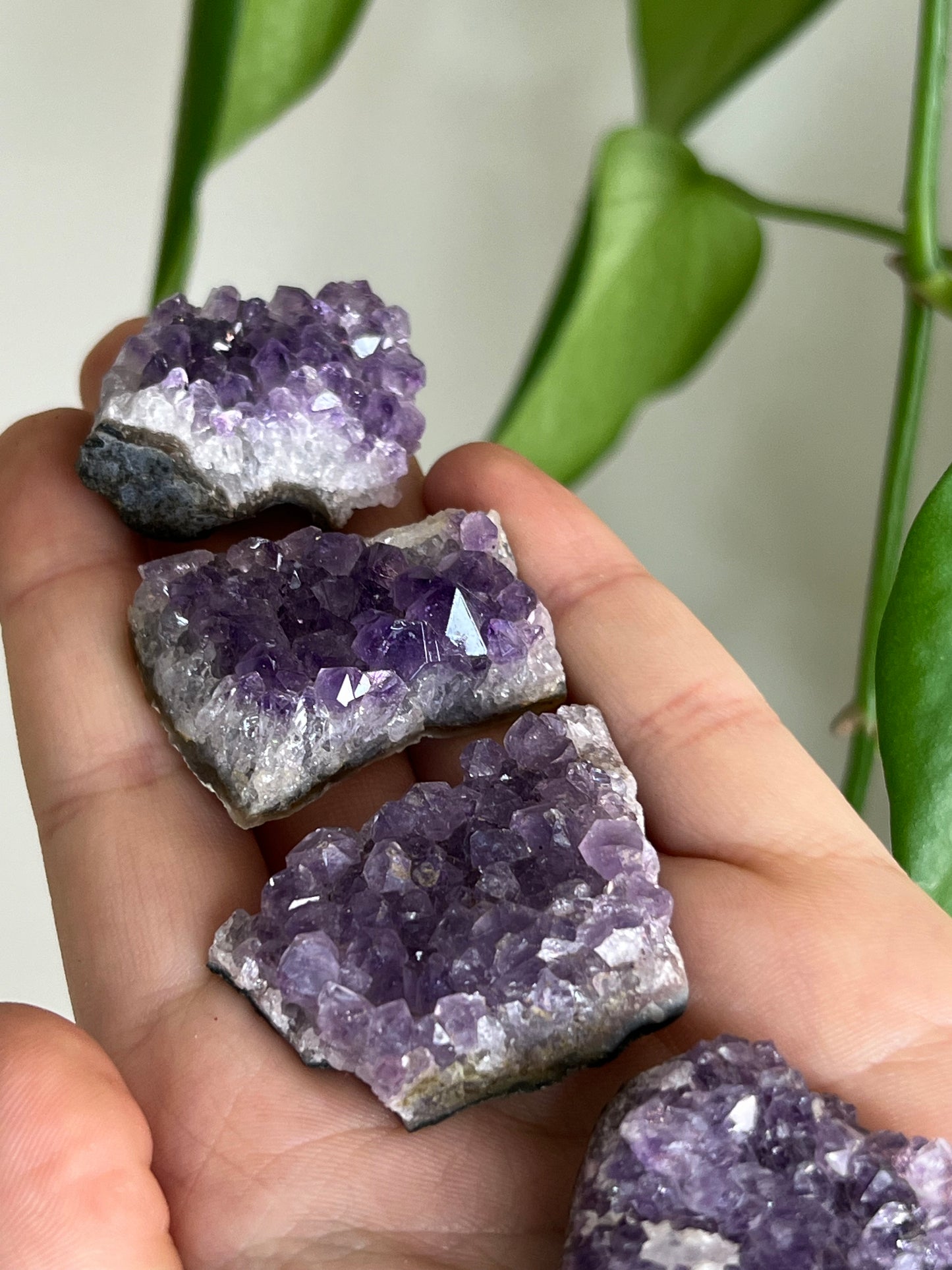 Amethyst Cluster Mini