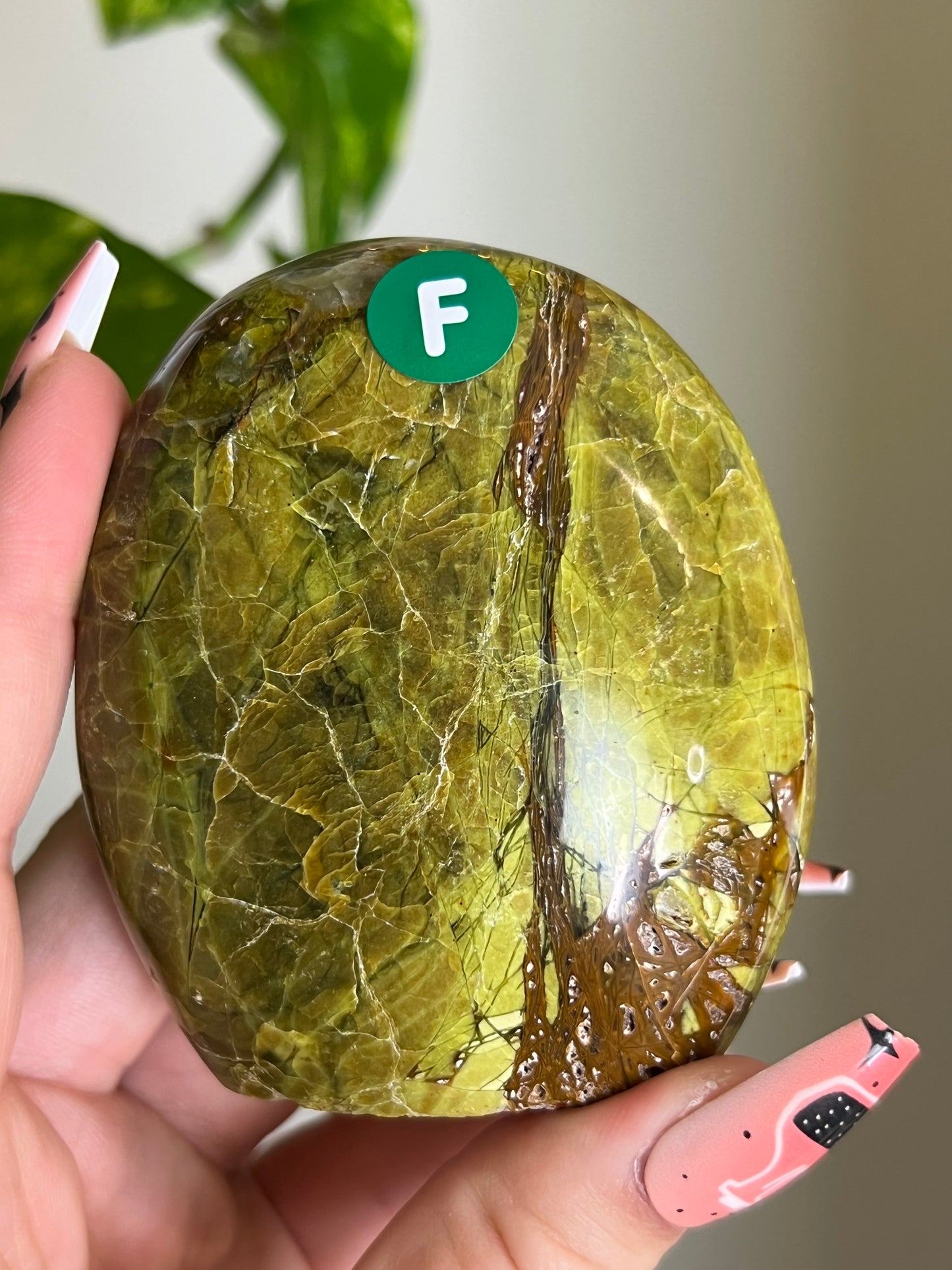 Green Opal Freeform - F 🌿