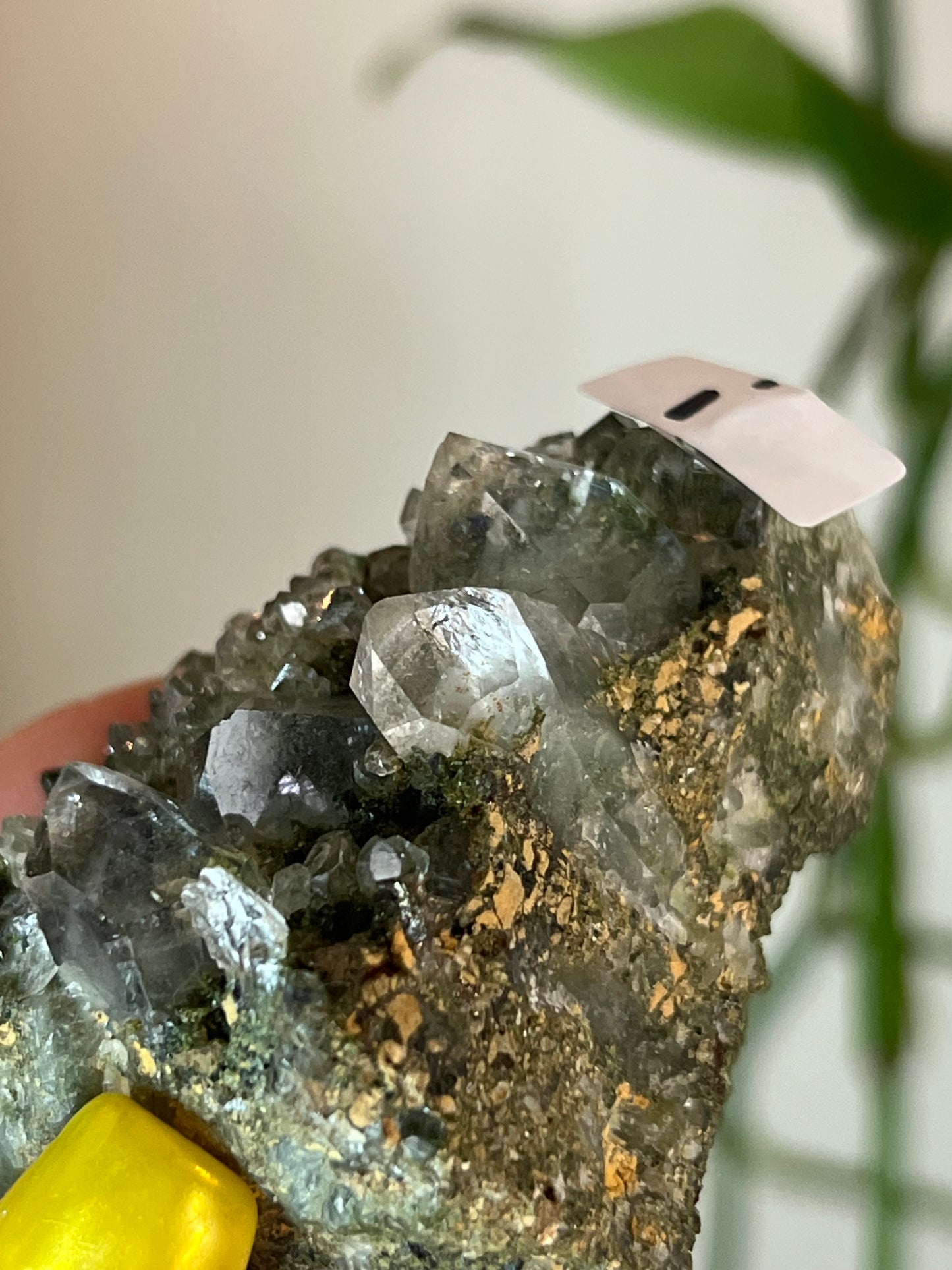 Forest Epidote Quartz Cluster - i