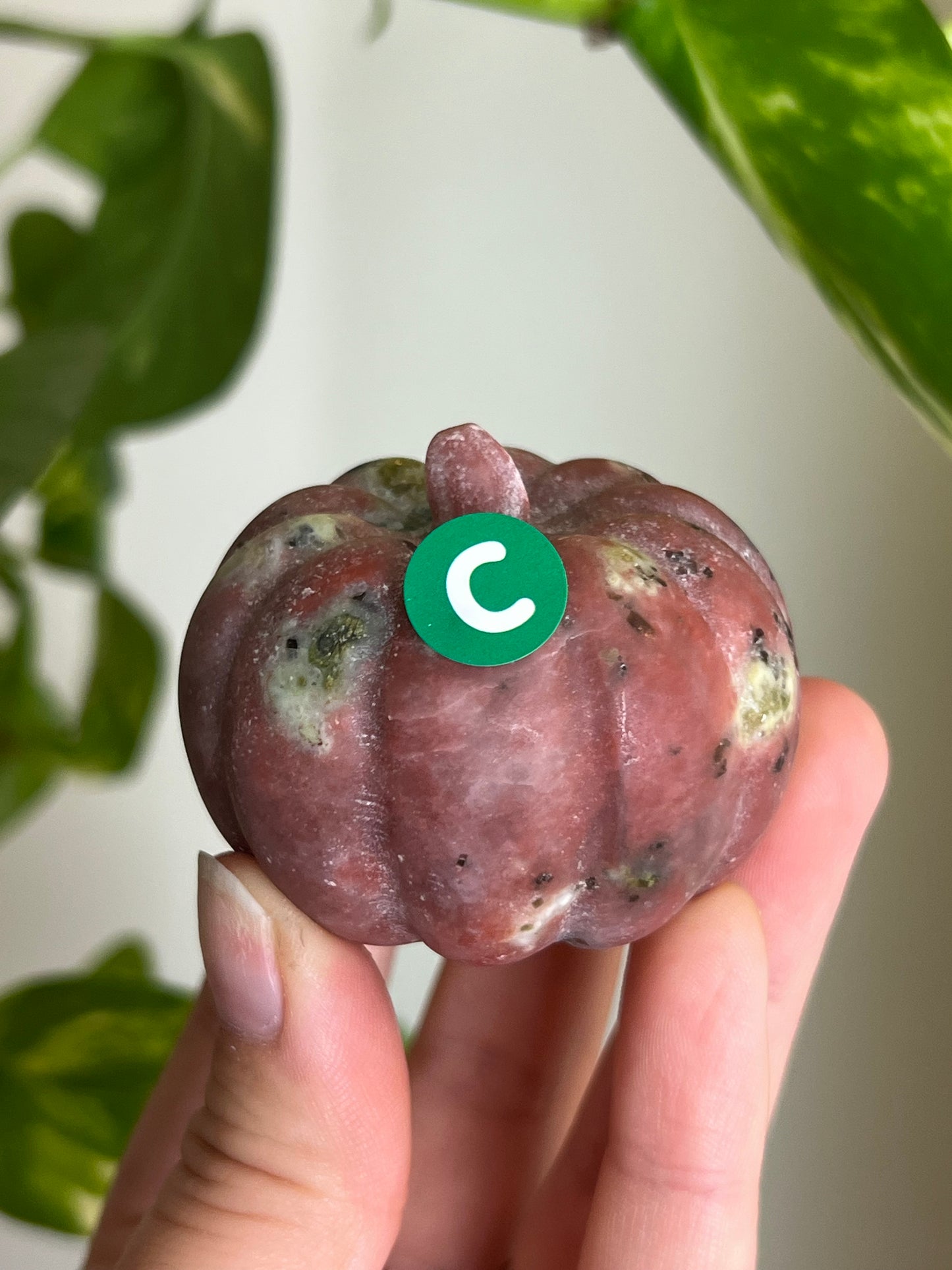 Plum Blossom Tourmaline x Serpentine Pumpkin - C