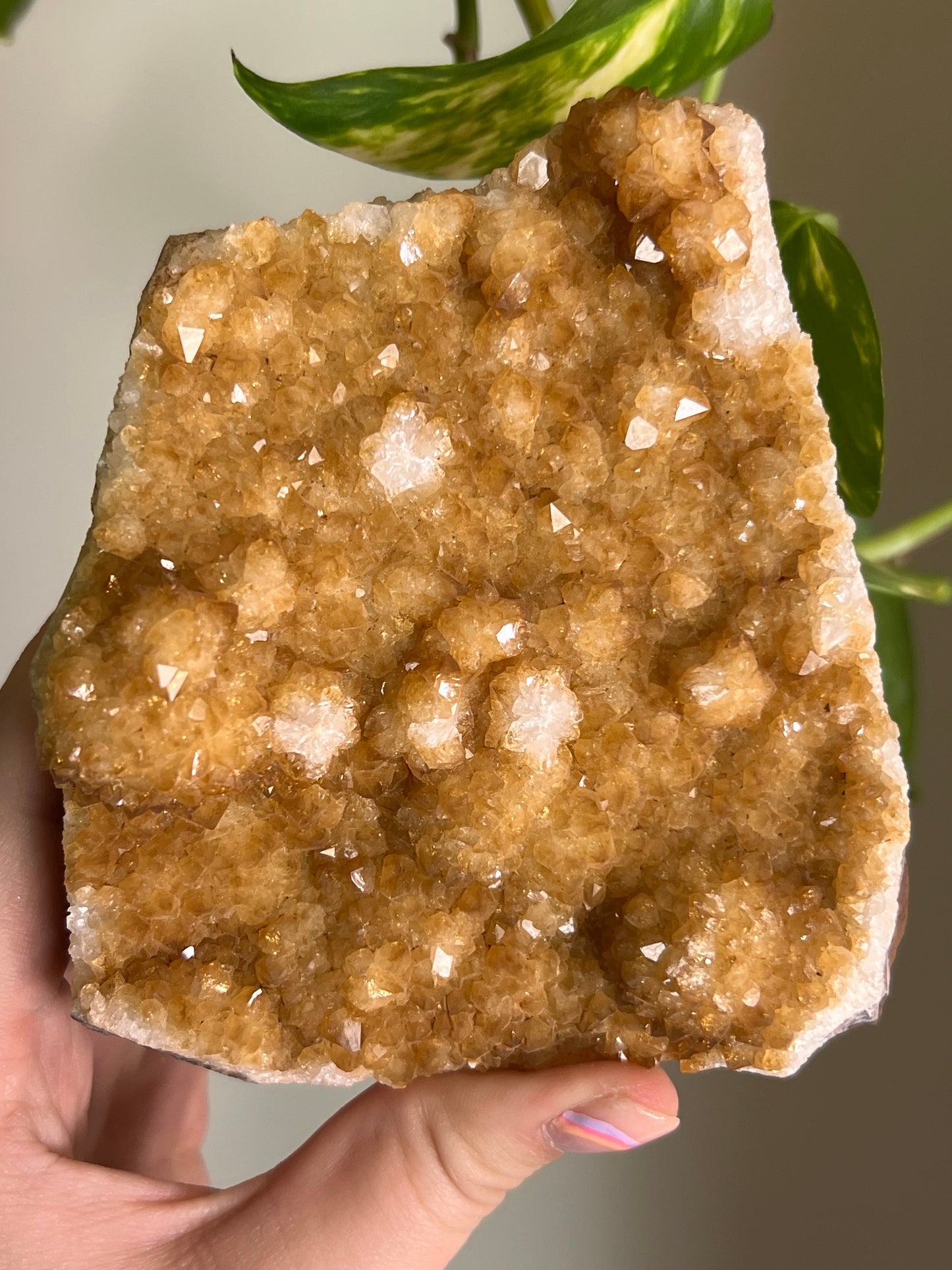 Citrine Cluster Cut Base