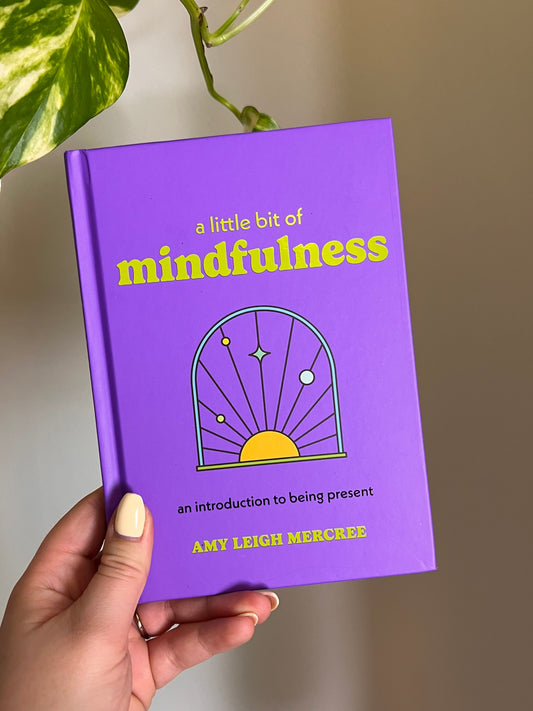 A Little Bit of Mindfulness Book