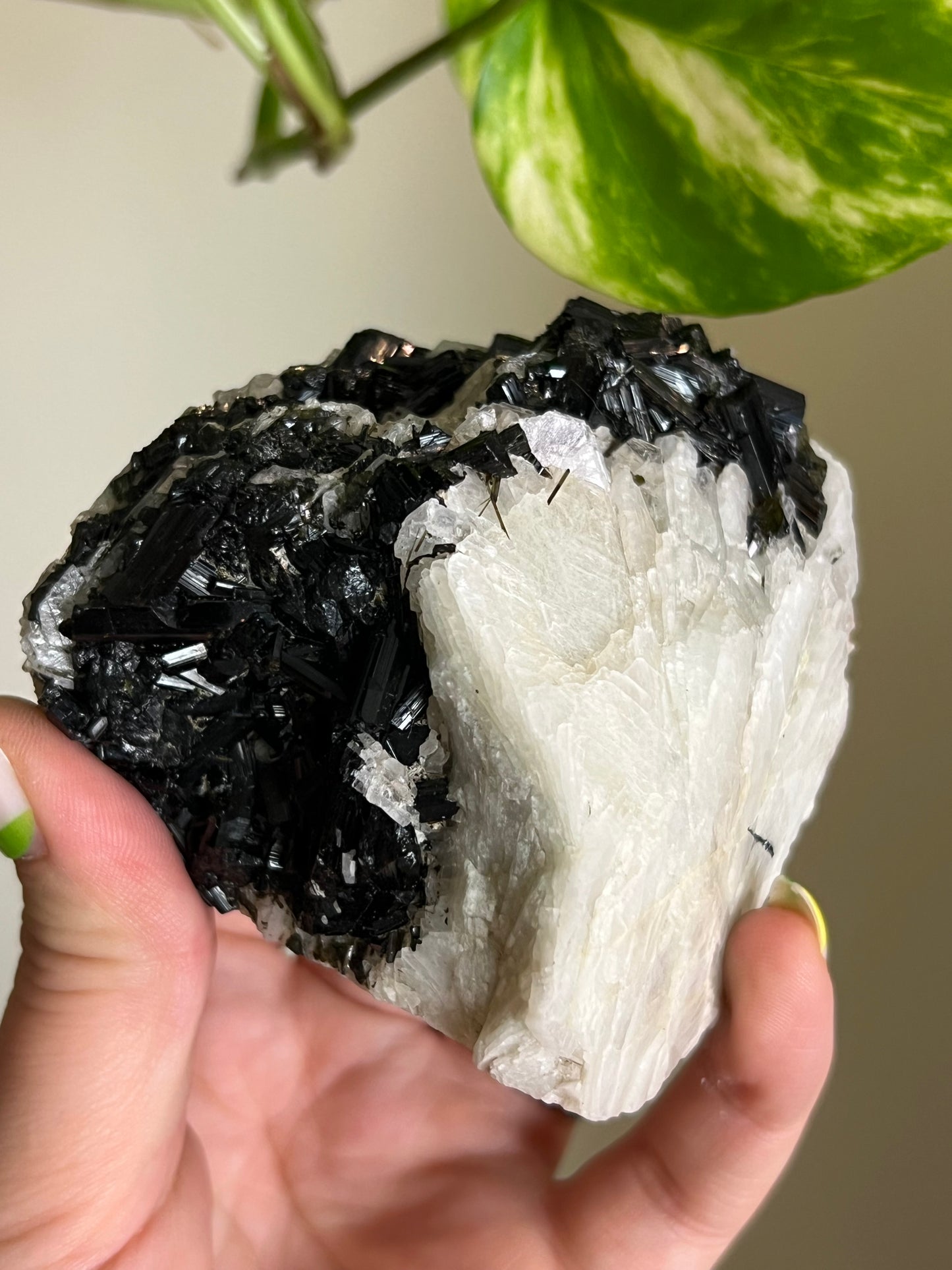 Black Tourmaline on Matrix Specimen