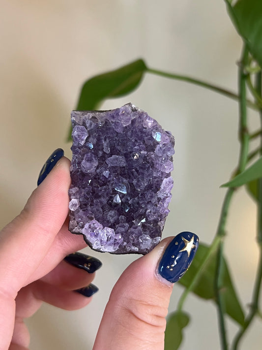 Amethyst Cluster Mini - Intuitively Chosen