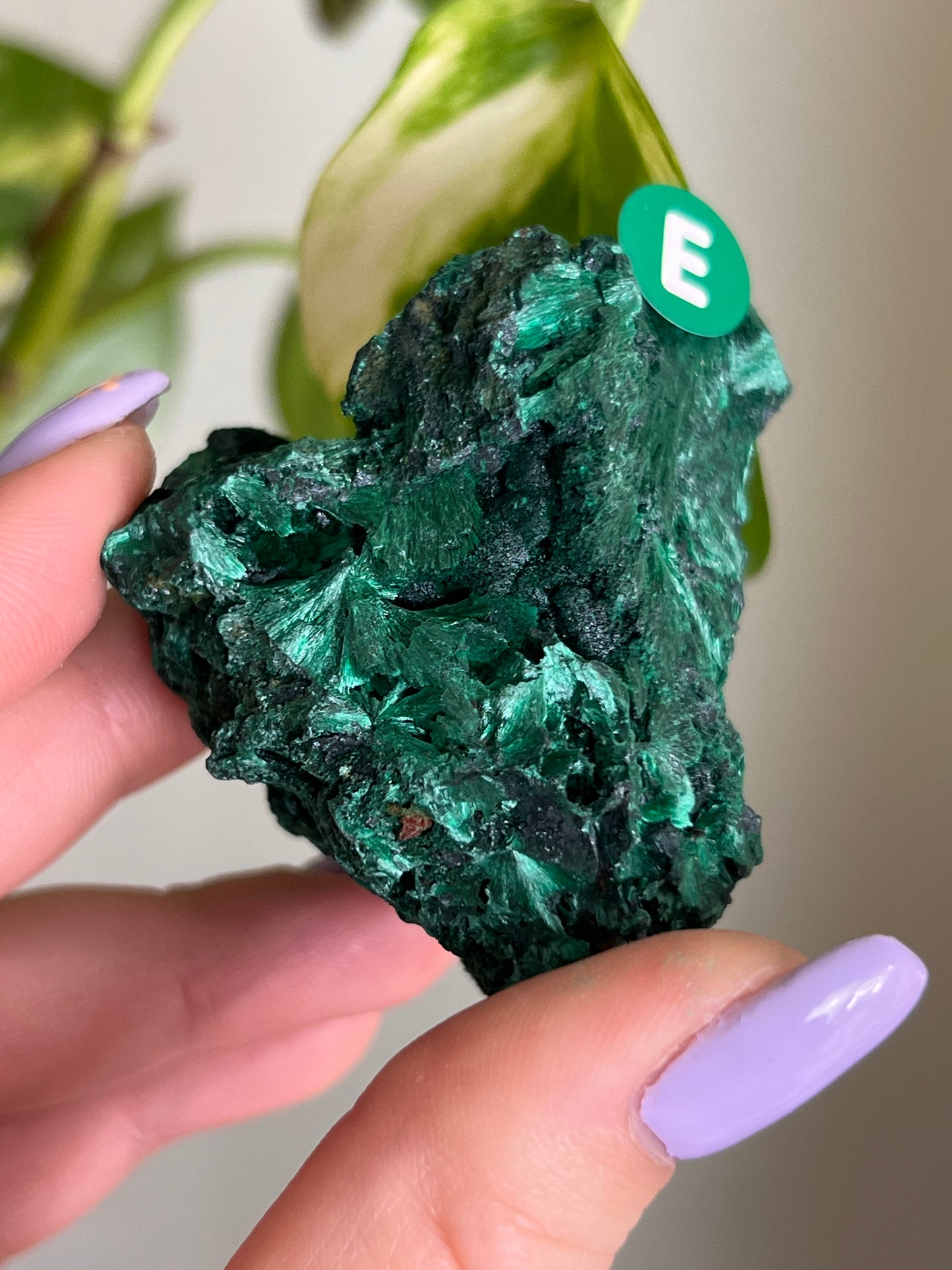 Fibrous Malachite - E
