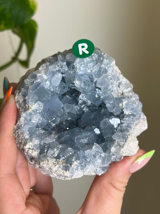 Celestite Cluster - R 🌊