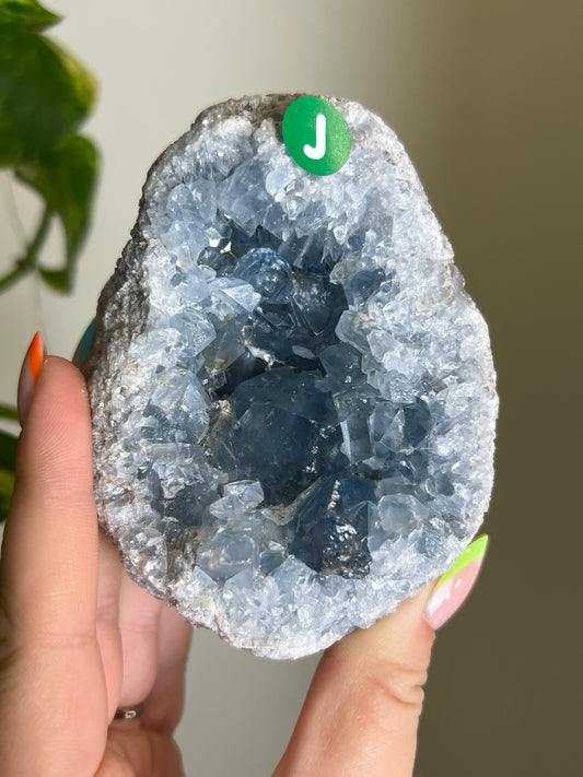 Celestite Cluster - J 🌊