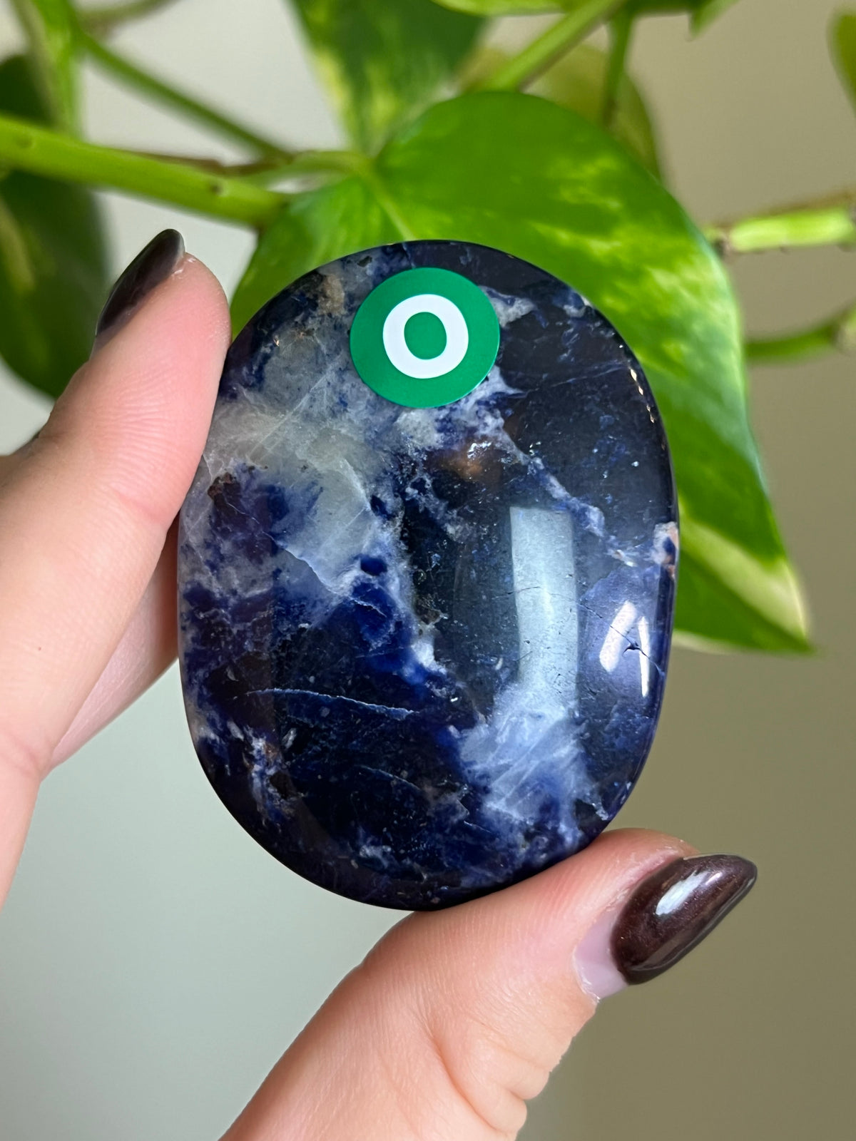 Sodalite Palm Stone - O