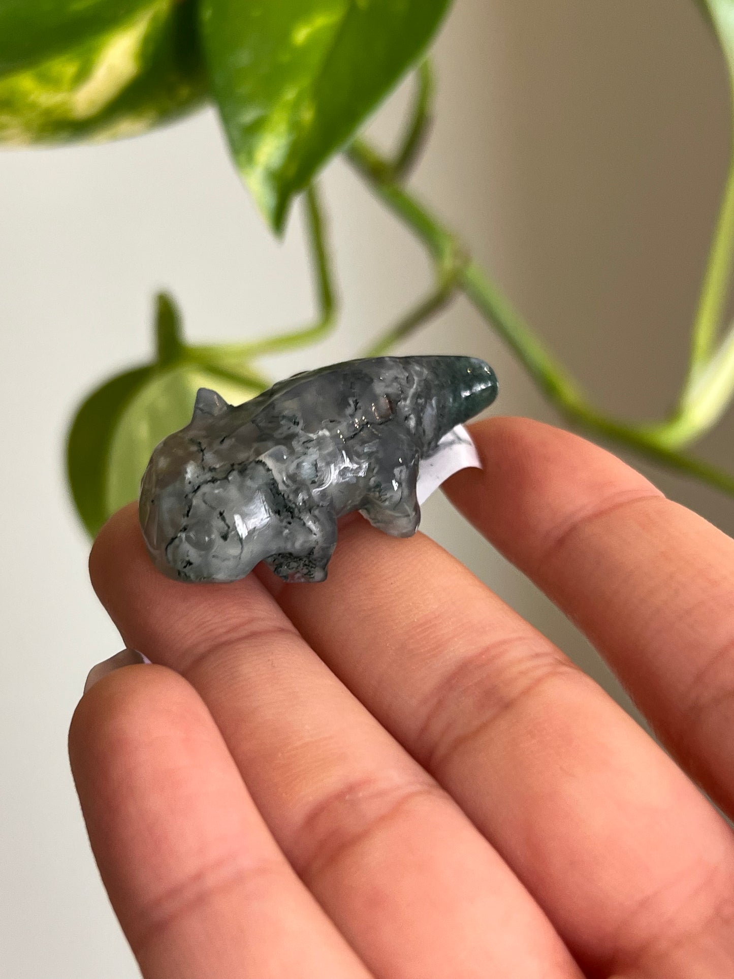 Moss Agate Axolotl