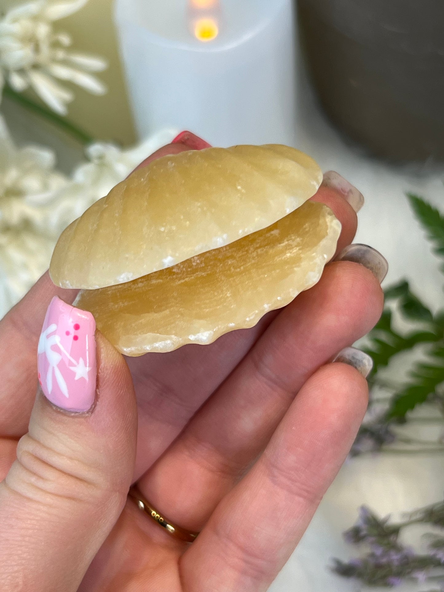 Yellow Calcite Clam Shell