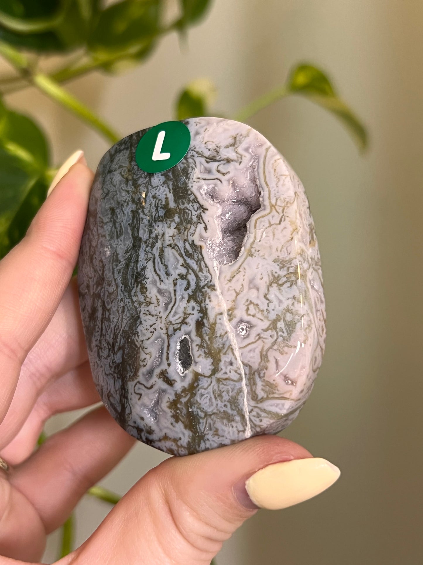 Rainbow Druzy Moss Agate Palm - L