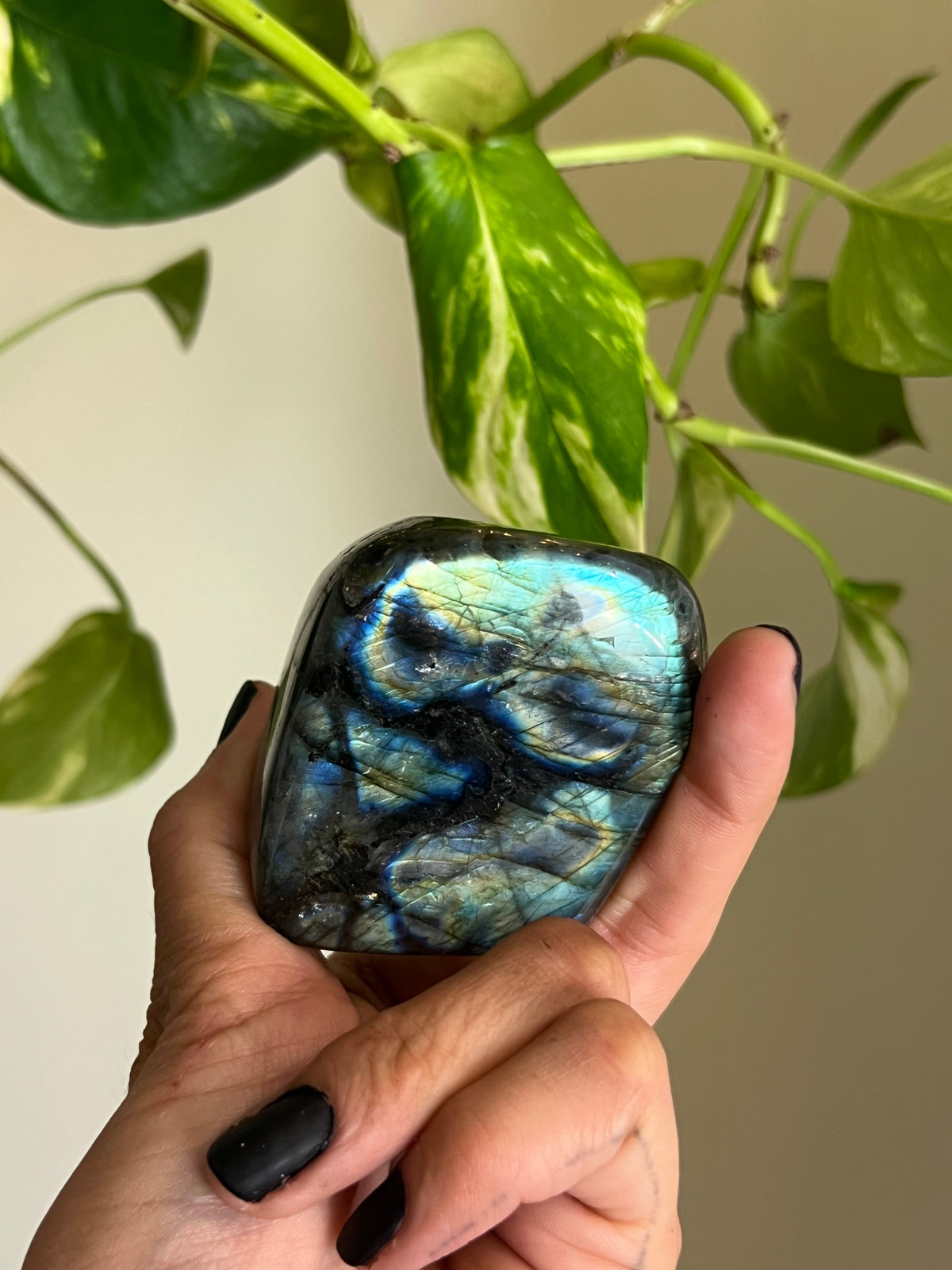 Flashy Labradorite Freeform