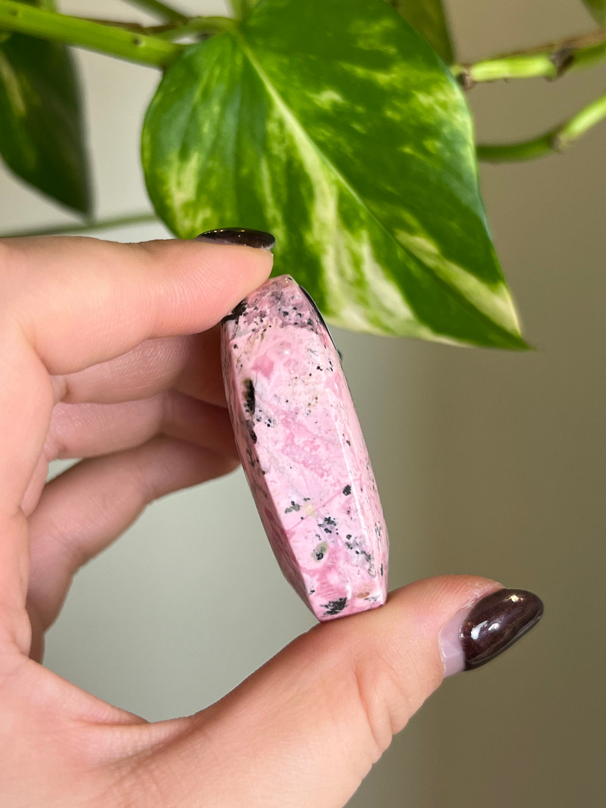 Bubblegum Peruvian Rhodonite Palm Stone - Y