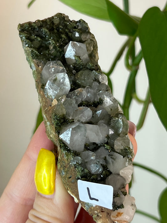 Forest Epidote Quartz Cluster - L