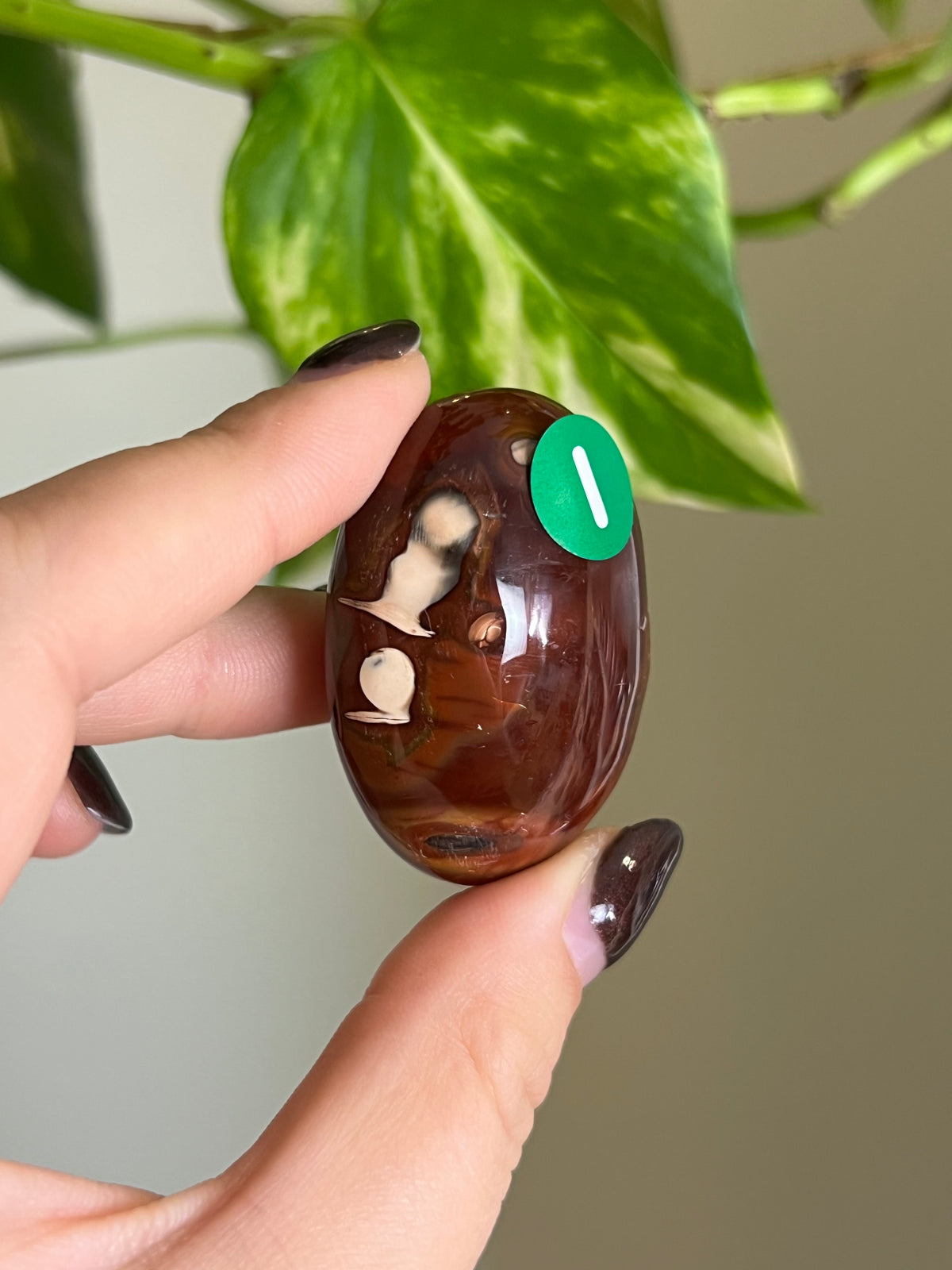 Carnelian Small Palm Stone - i