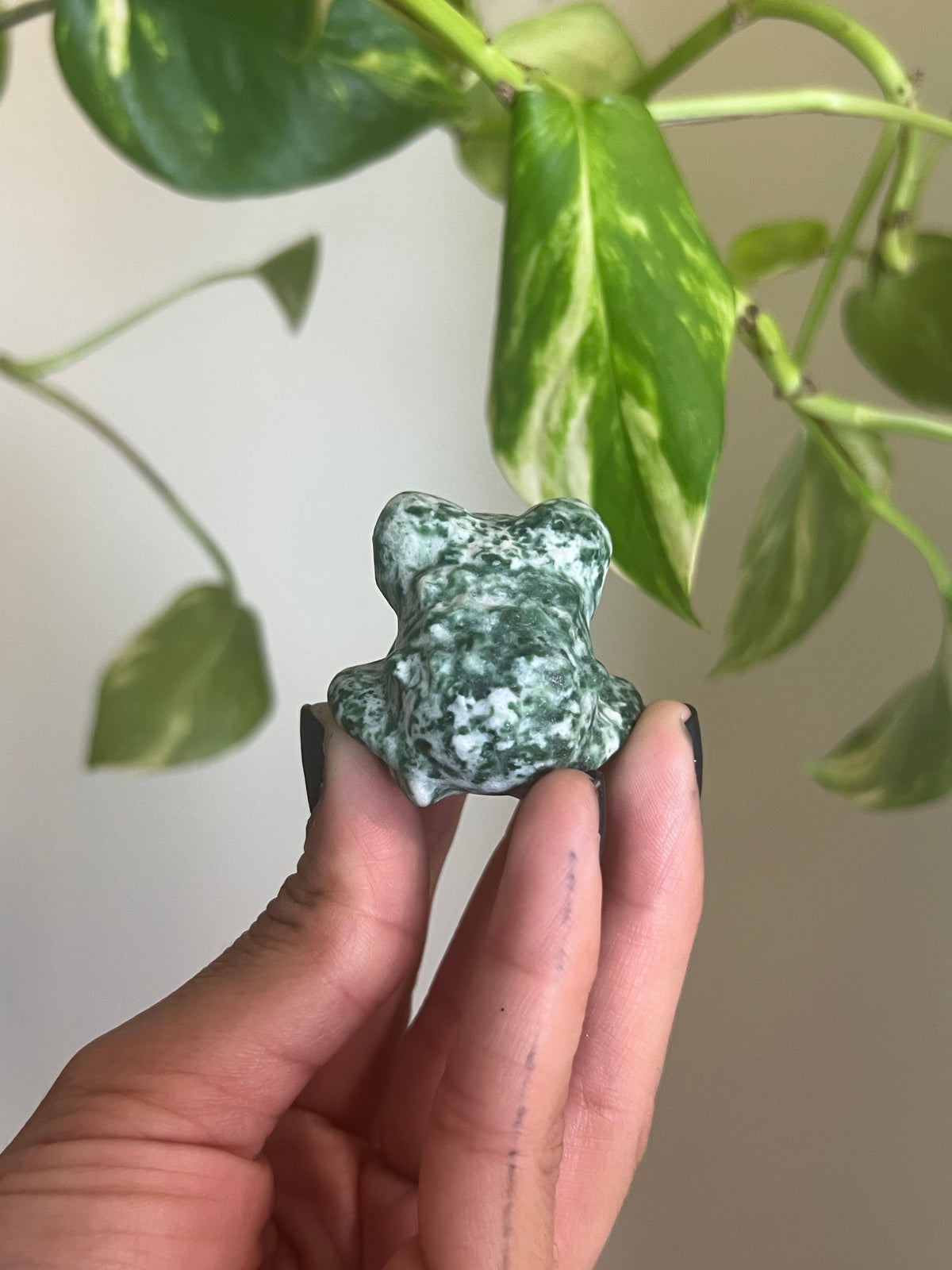 Green Spot Jasper Frog