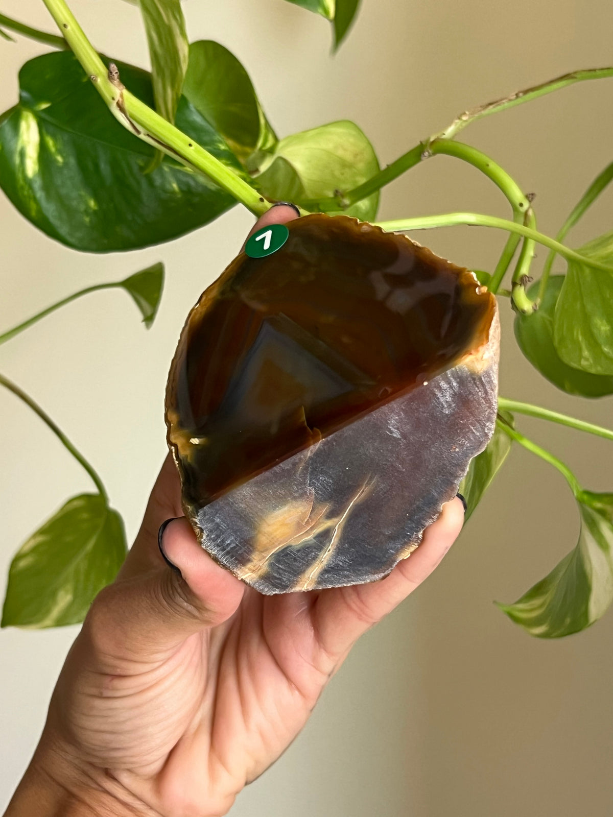 Red + Blue Agate Freeform - 7