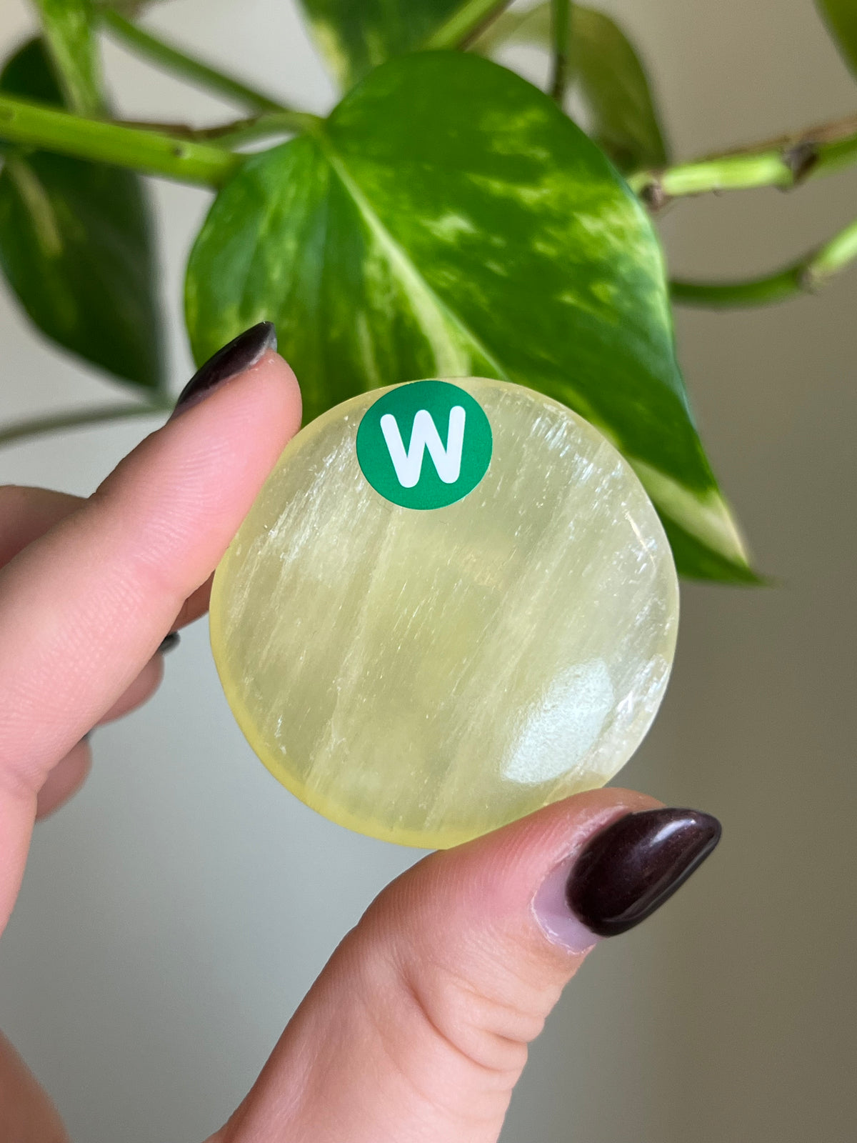 Lemon Calcite Flat Stone - W