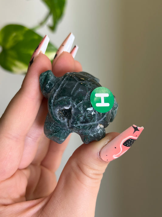 Moss Agate Sea Turtle - H 🐢