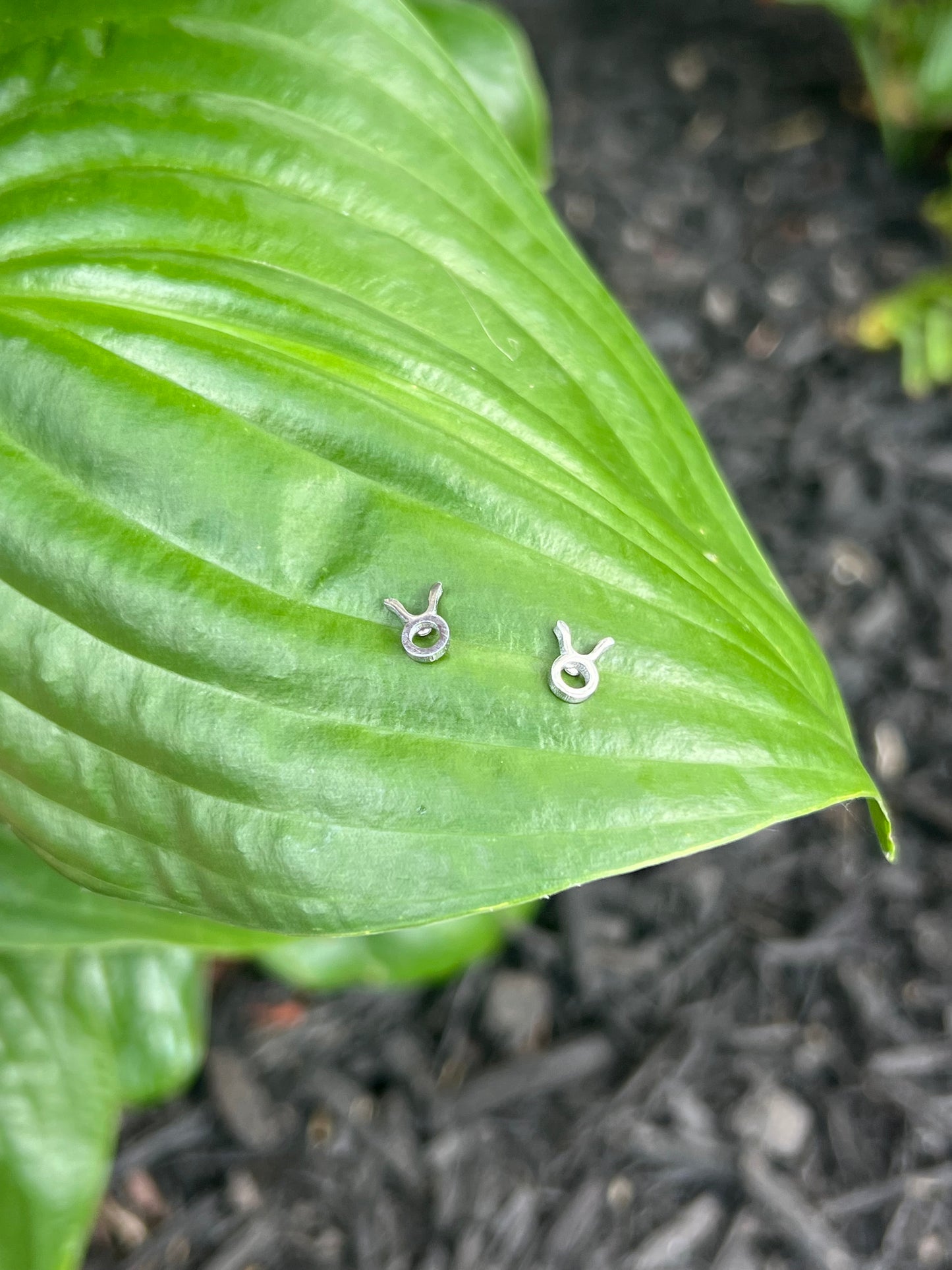Taurus Silver Zodiac Sign Studs ♉️