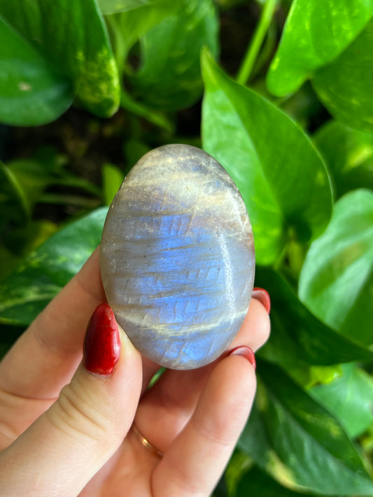 Flashy Moonstone Small Palm