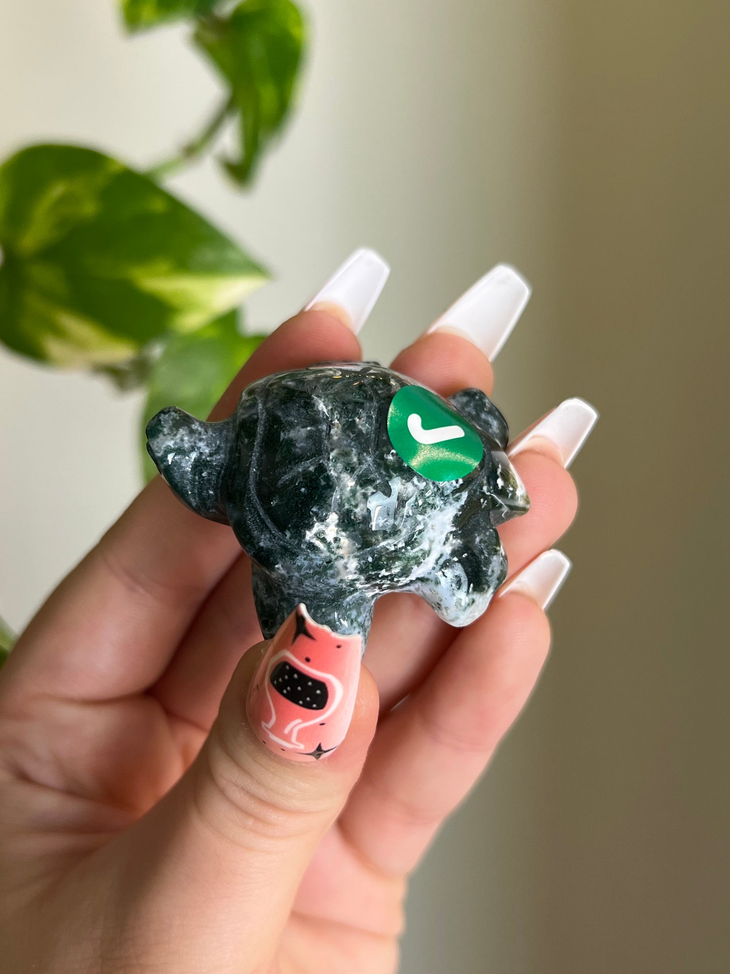 Moss Agate Sea Turtle - J 🐢