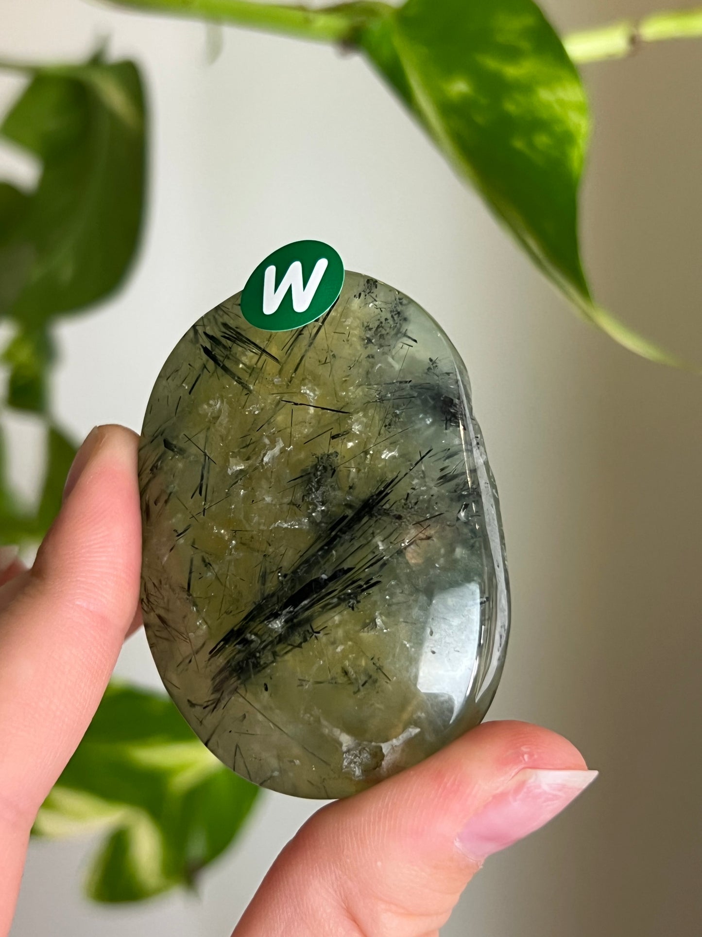 Prehnite with Epidote Palm Stone - W