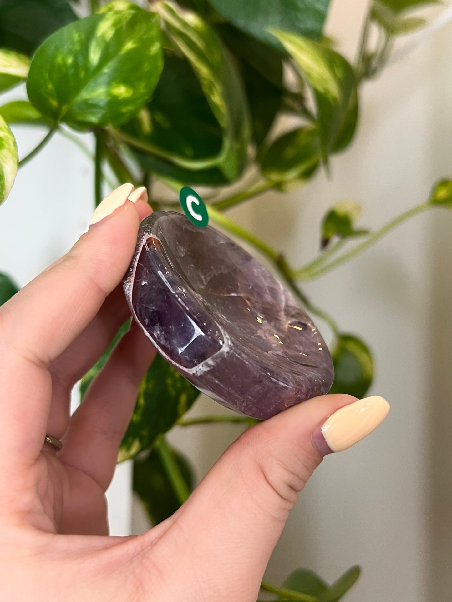 Dream Amethyst x Prasiolite Bowl - C