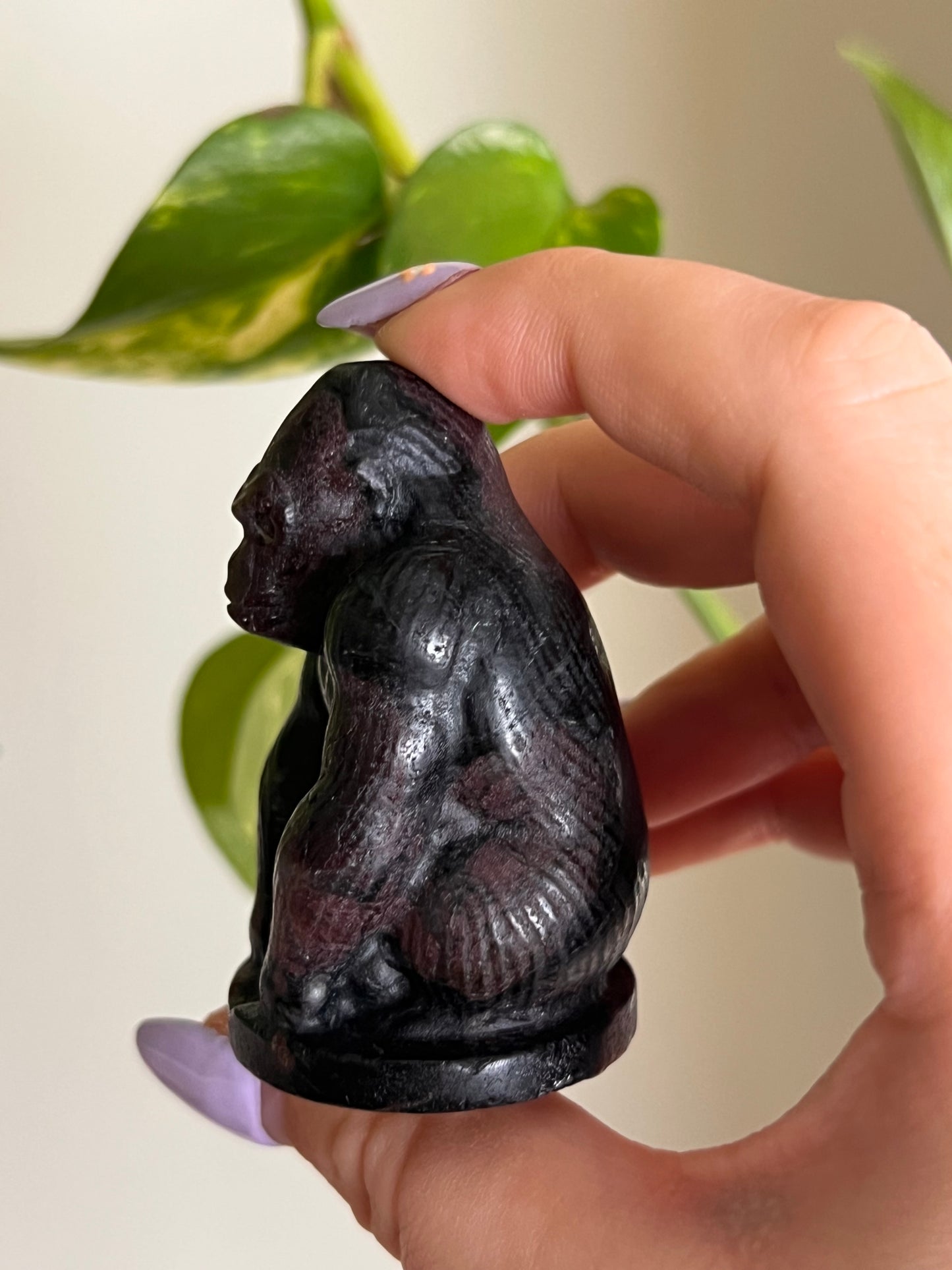 Garnet on Matrix Gorilla
