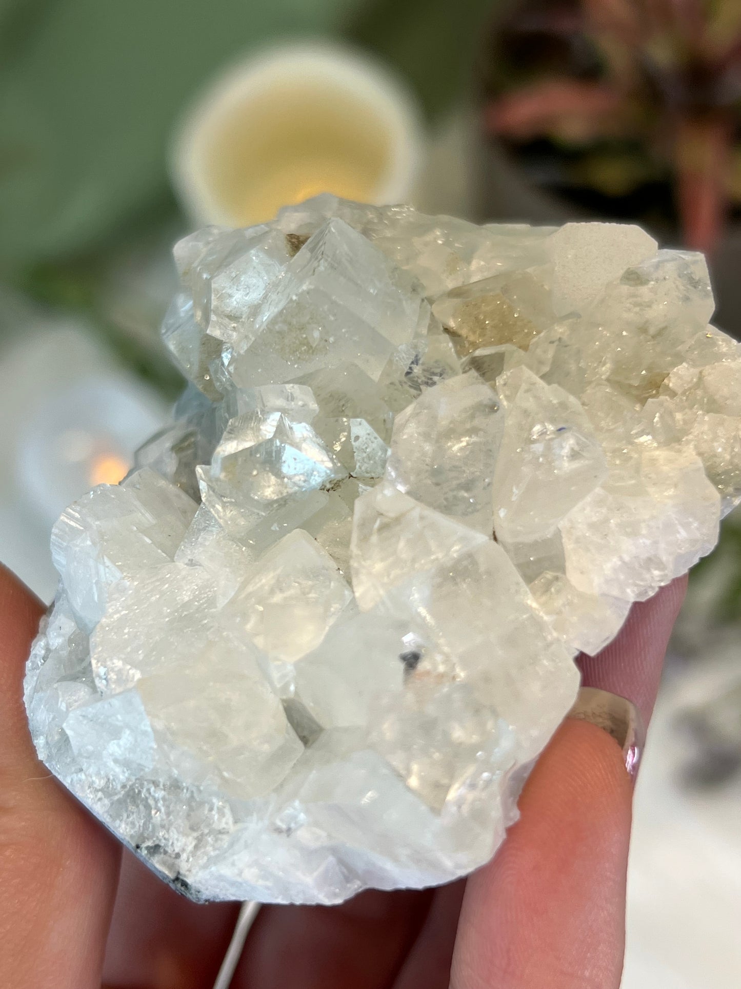 Apophyllite Cluster