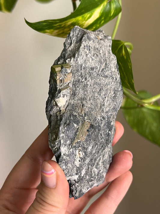 Pyrite on Matrix - Ontario