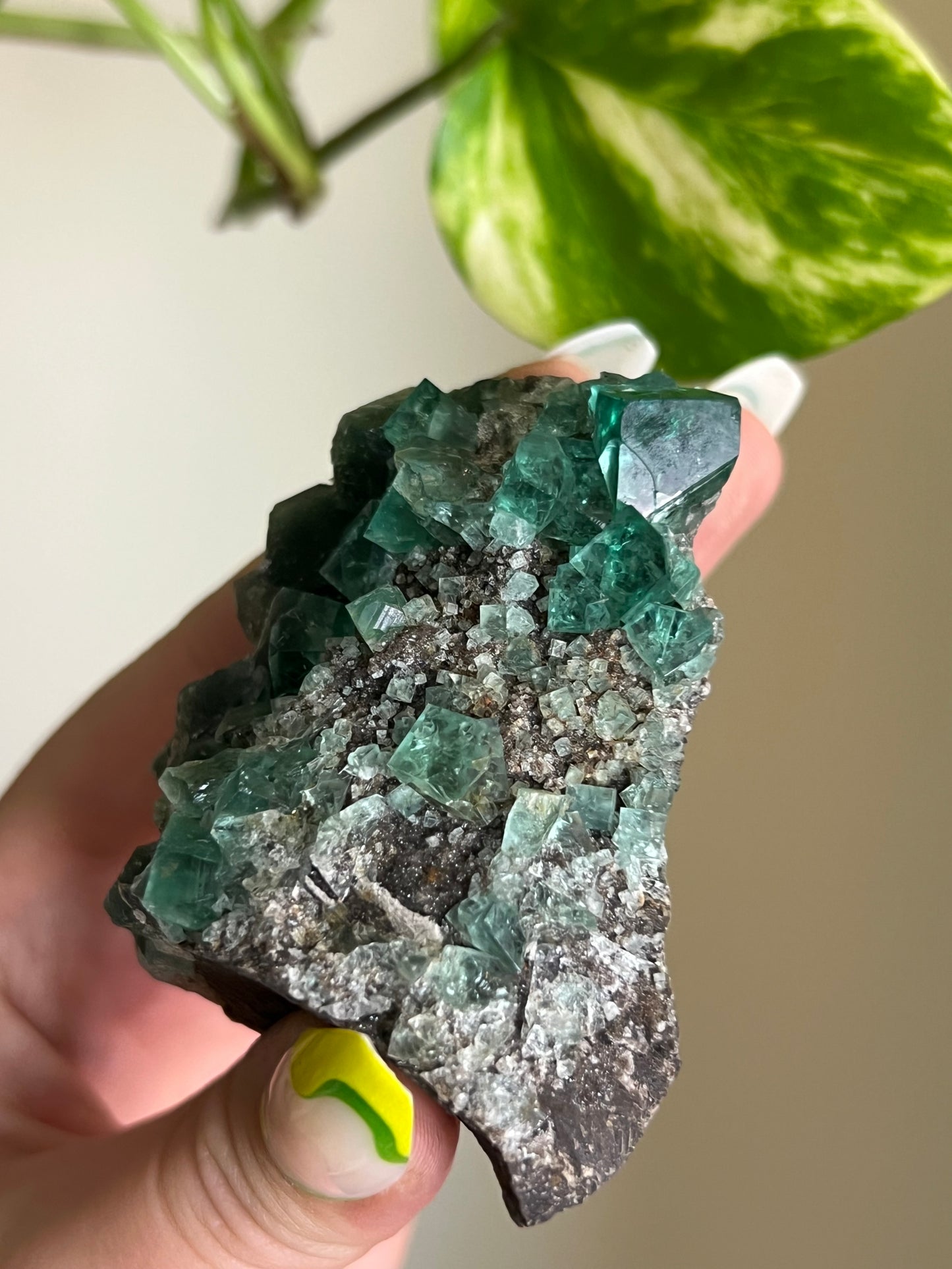Green Cubic Fluorite Cluster - T
