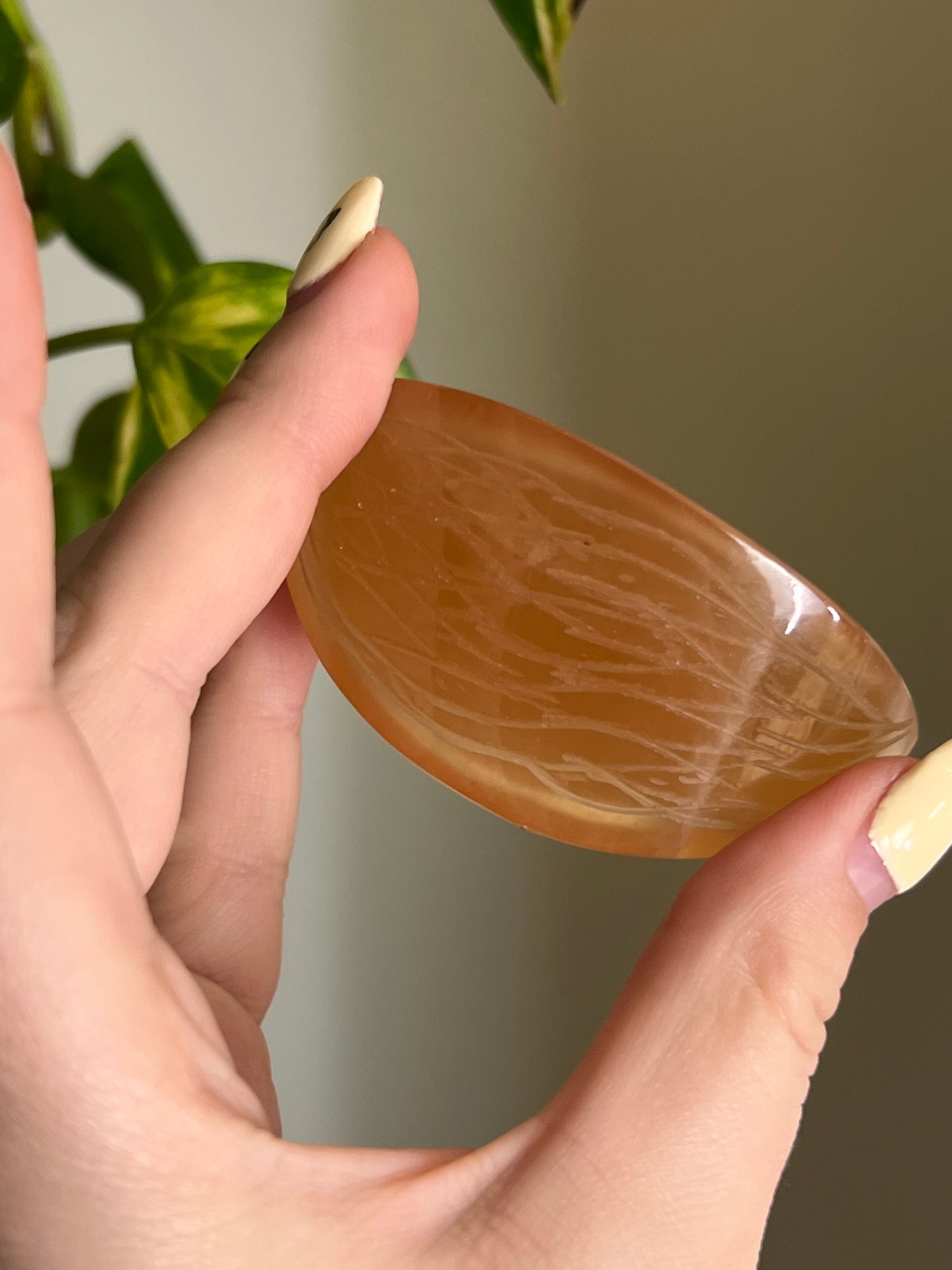 Honey Calcite Fruit Slice 🍊