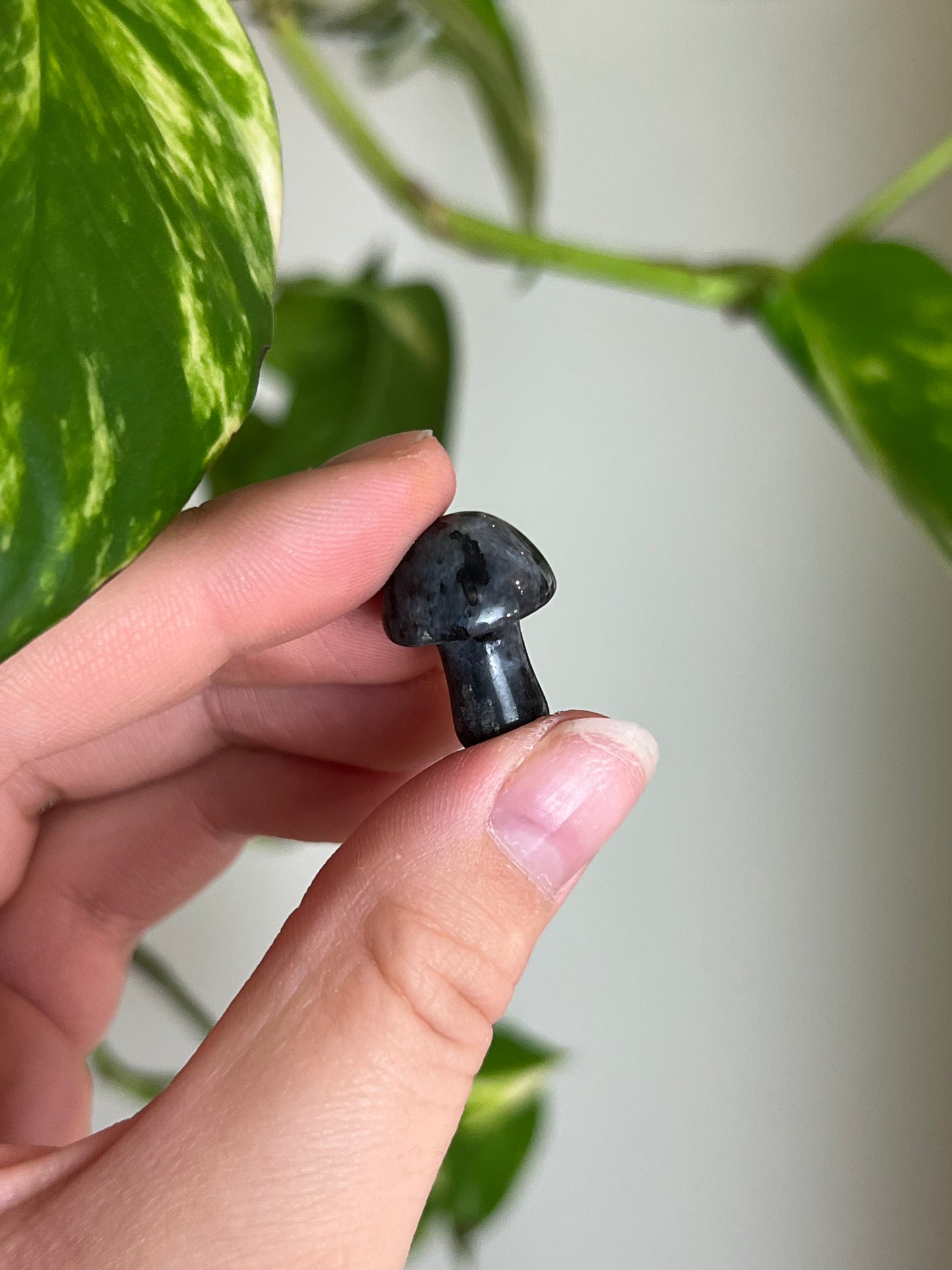 Flashy Larvikite Mini Mushie