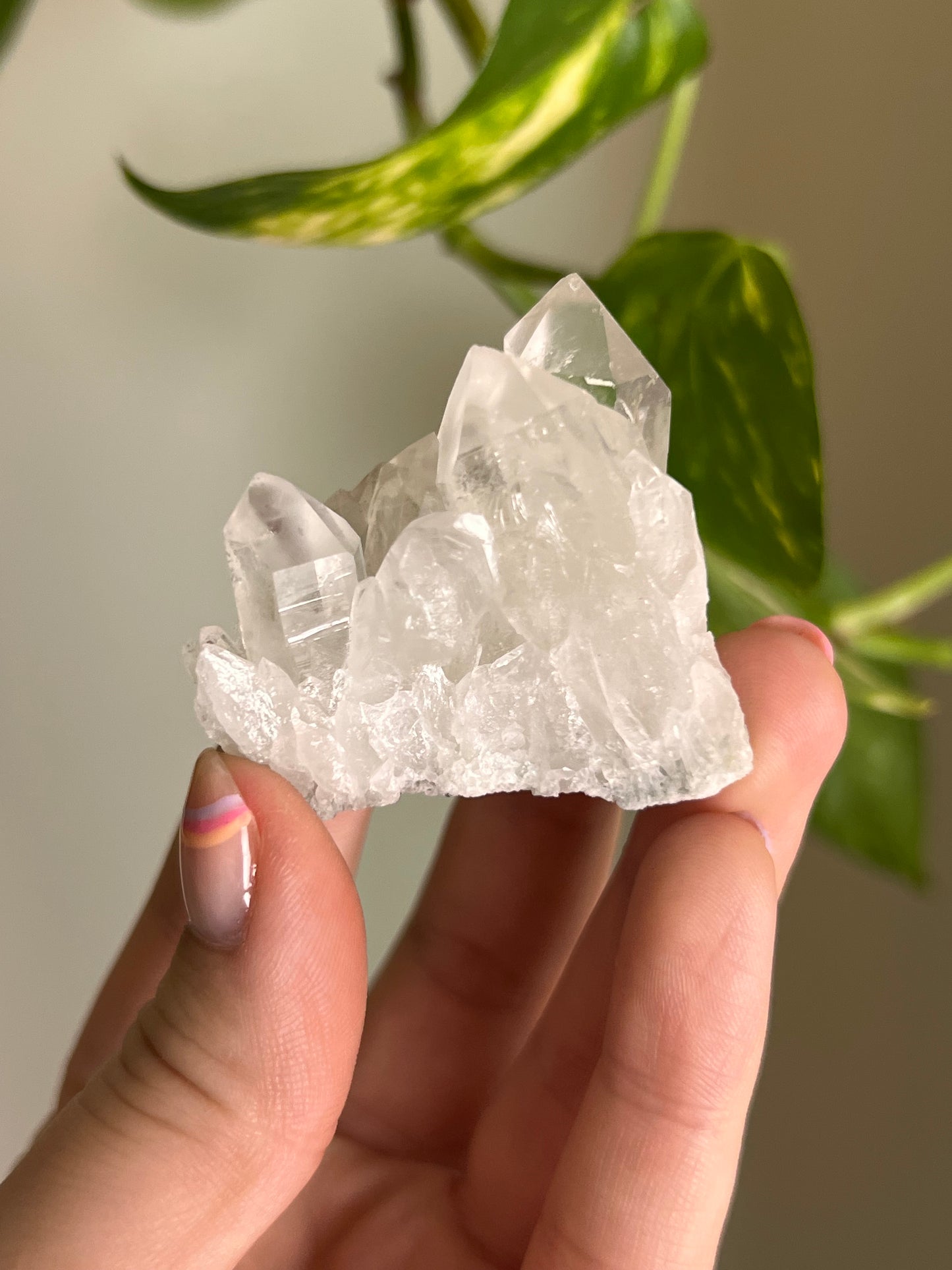 Clear Quartz Cluster - C