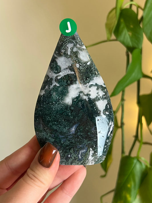 Moss Agate Freeform - J
