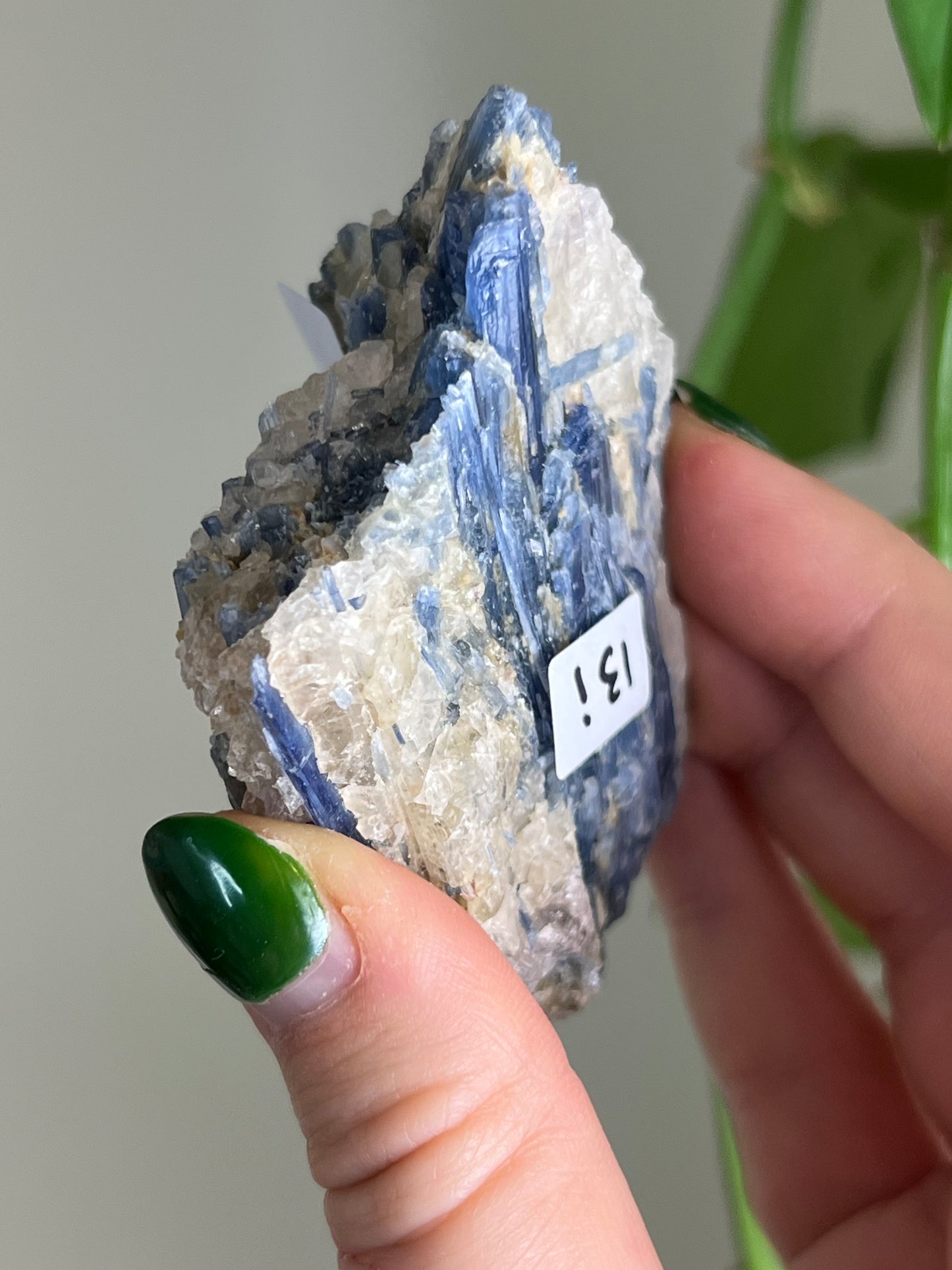 Blue Kyanite in Quartz i