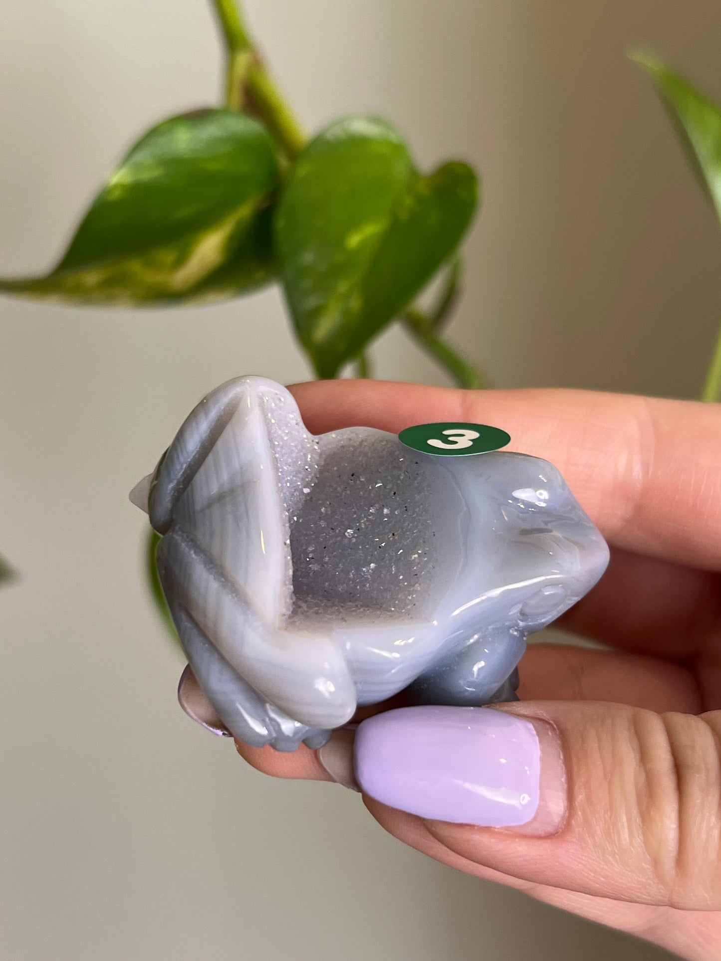 Druzy Agate Frog - 3