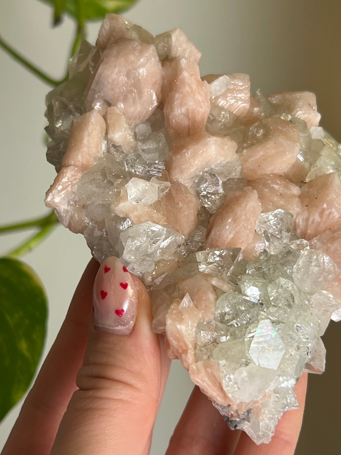 AAA Quality Apophyllite x Stilbite Cluster