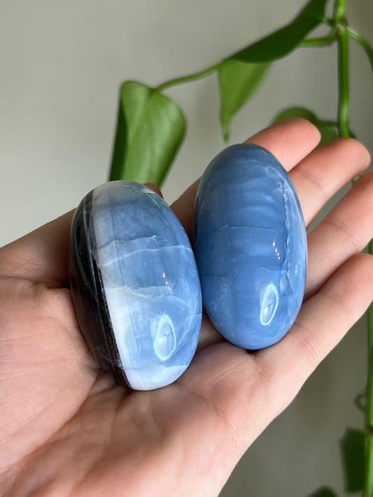 Blue Opal Shivas