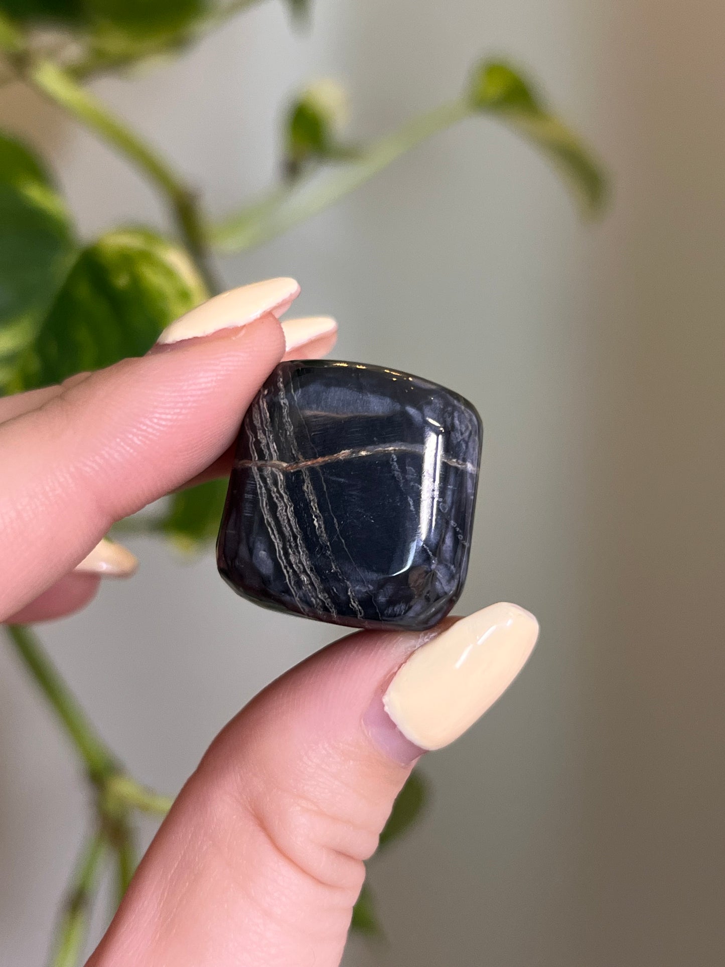 Black Jasper Tumbled
