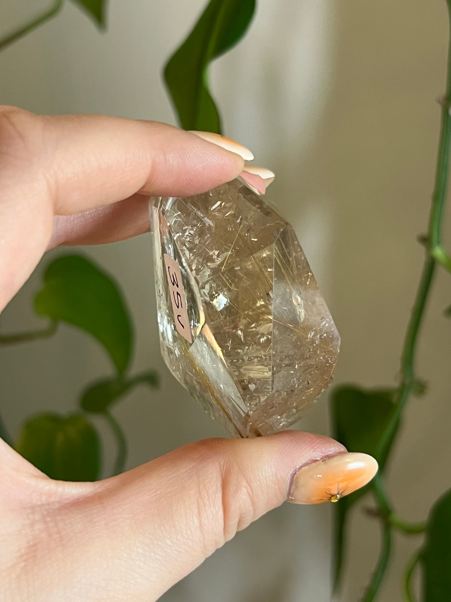Golden Rutile Quartz Gusher - V