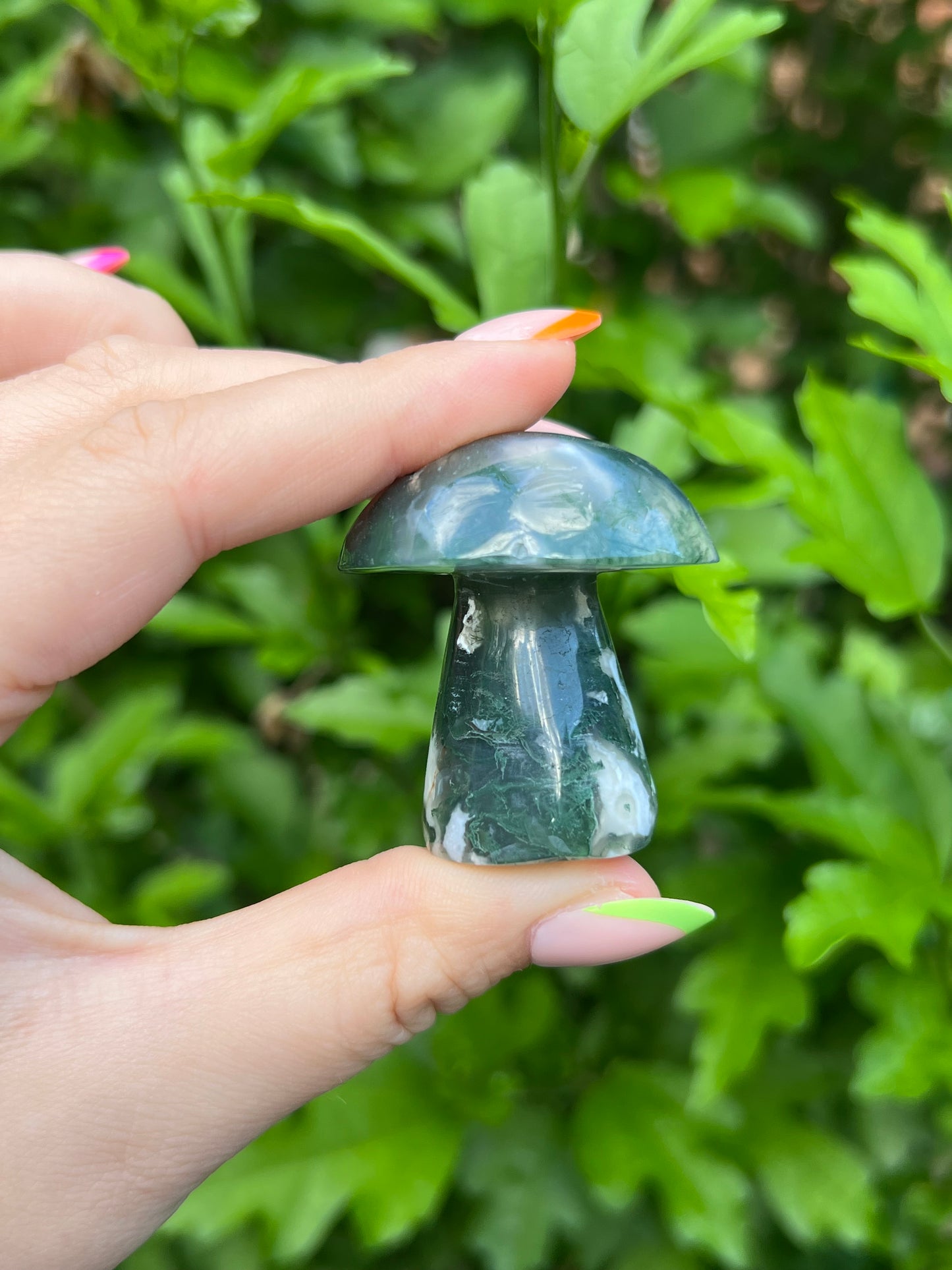 Druzy Moss Agate Mushroom