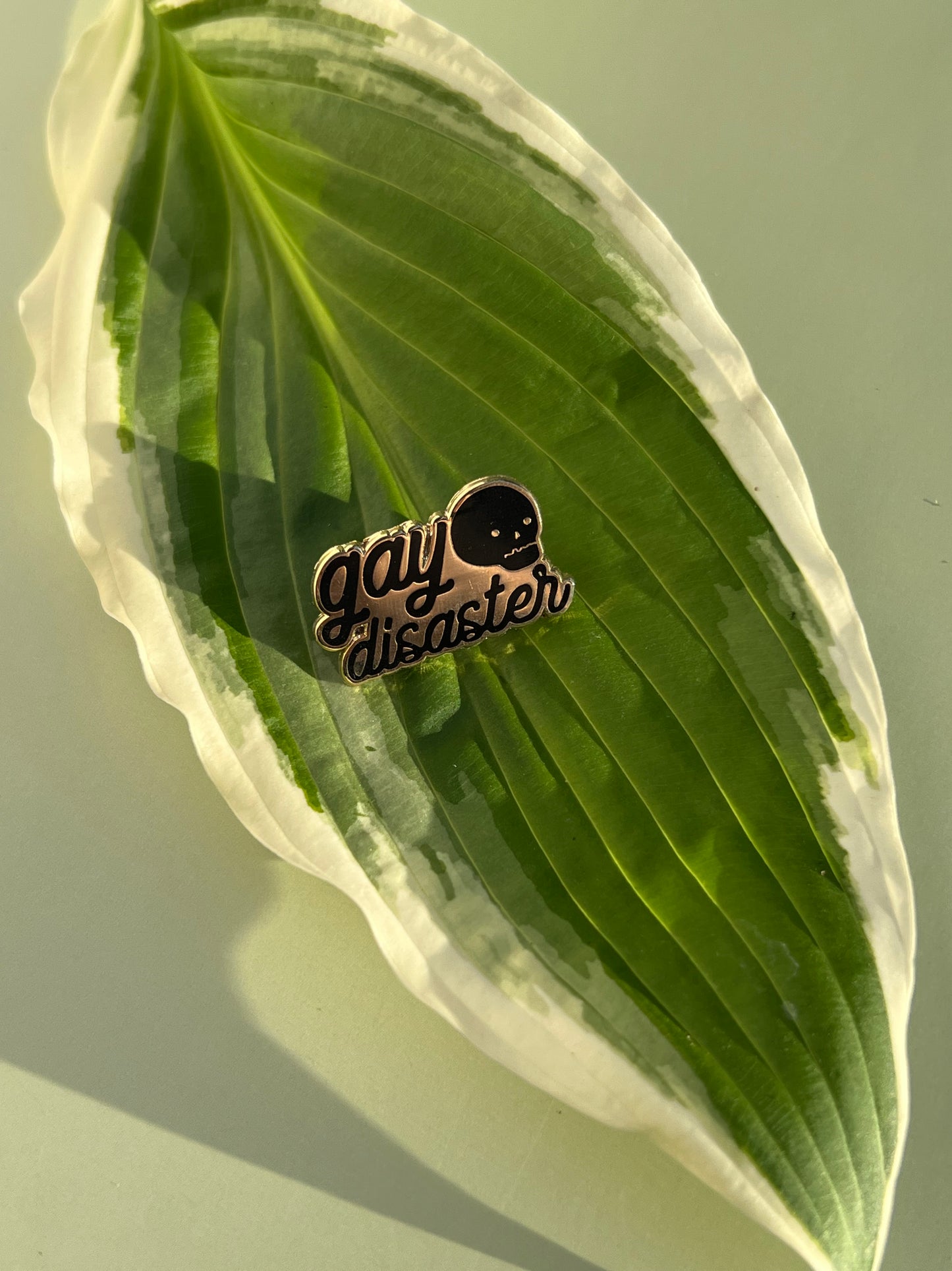 Gay Disaster Pin