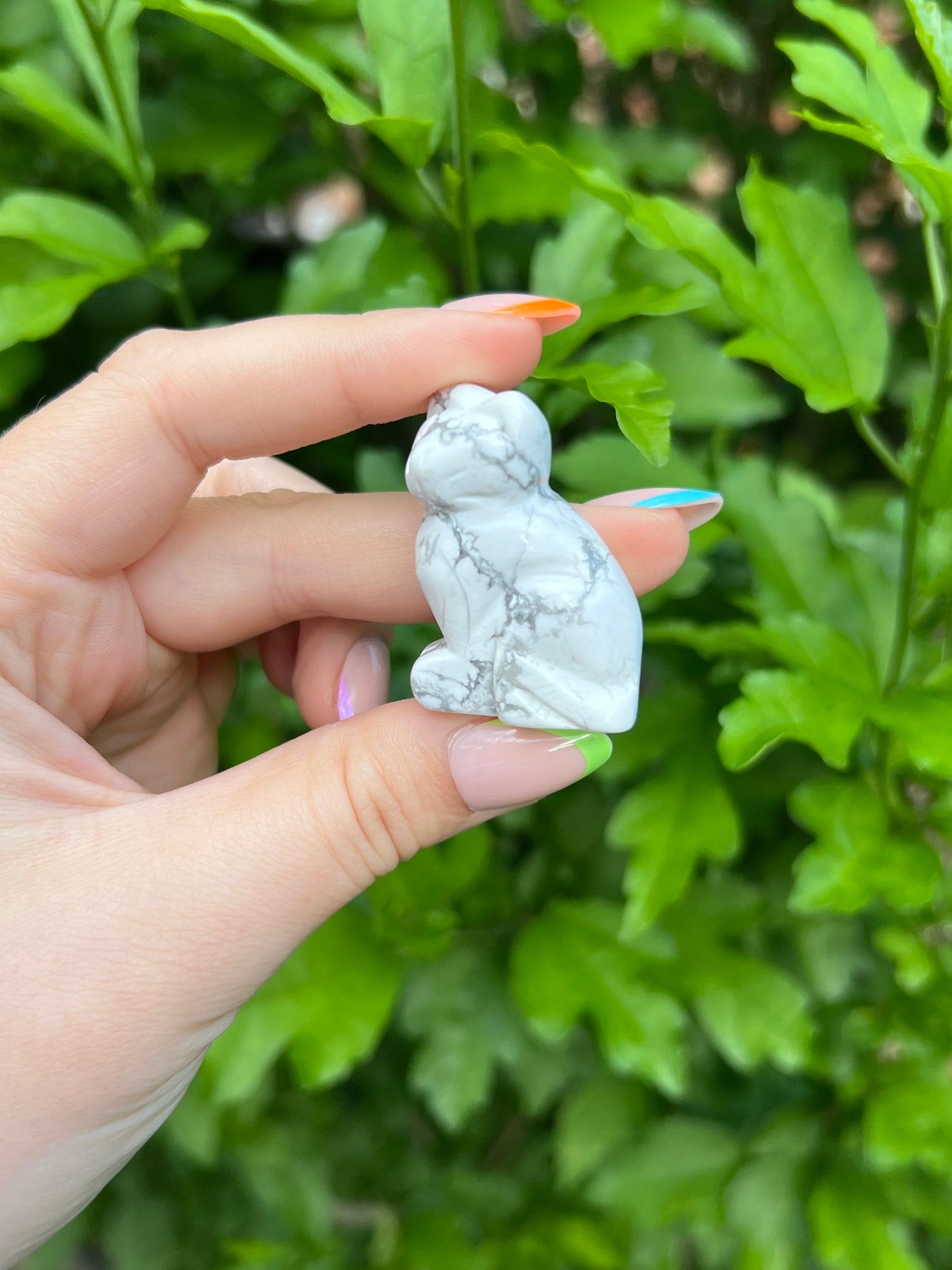 White Howlite Cat