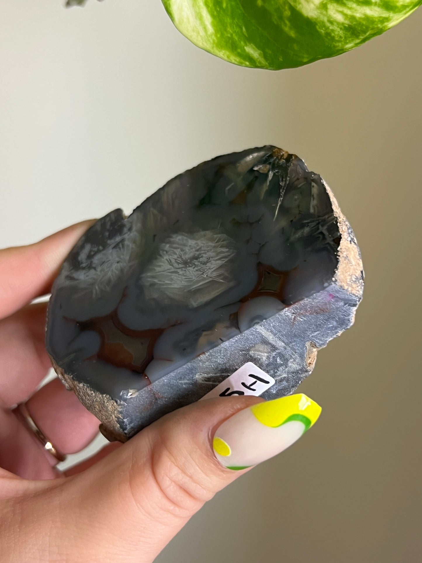 Agate Freeform - H